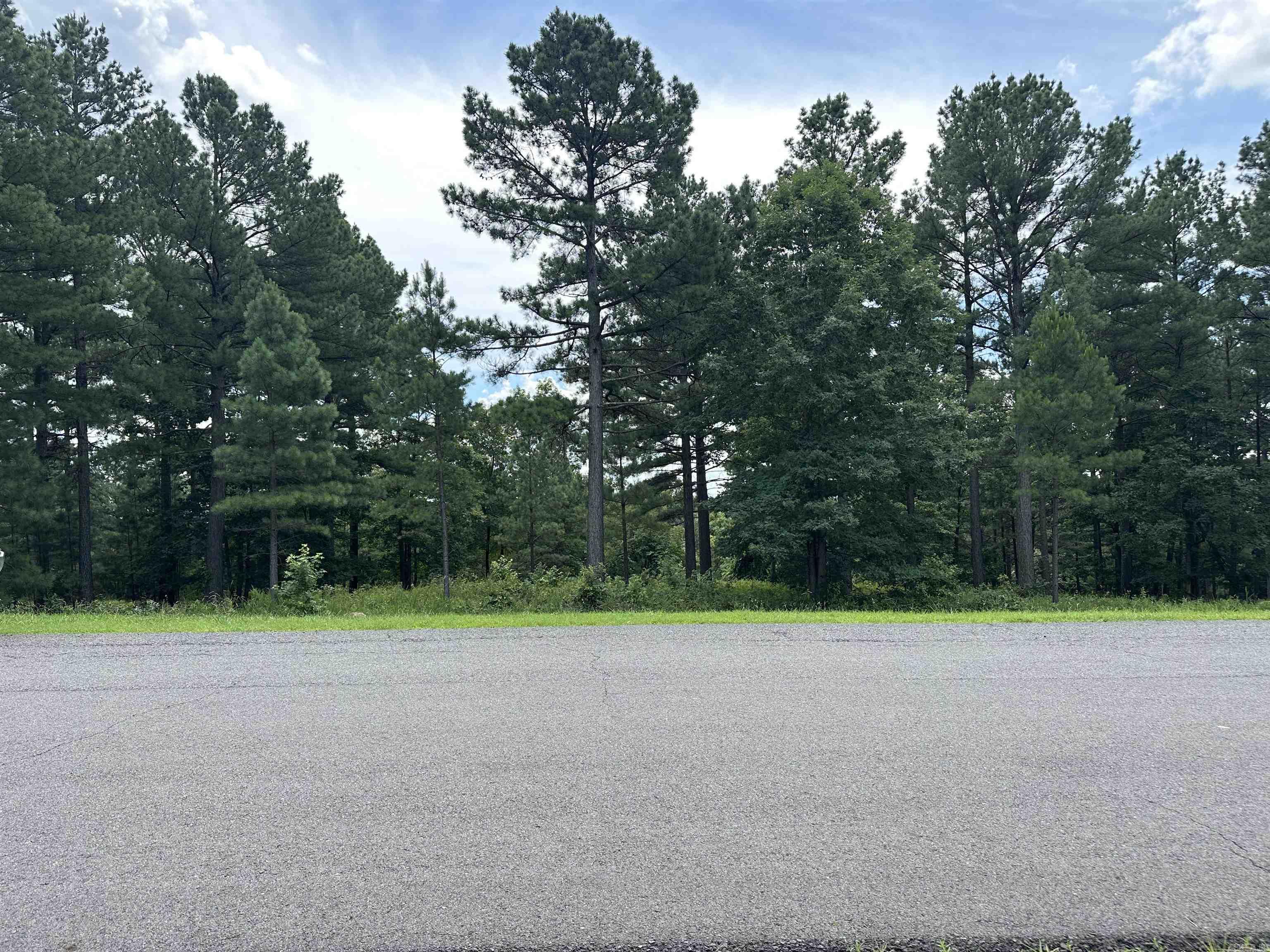 Holley Mountain Airpark - Land