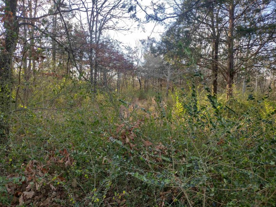 Nice lot in town great place to build new home