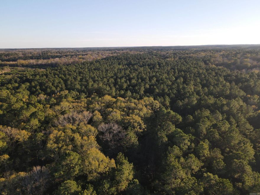 Discover a rare opportunity to own a high-quality timber investment tract just a few miles from Strong, Arkansas that also offers excellent recreational value. The property features a 21–22-year-old, well-managed pine plantation ready for harvest, providing immediate income potential. With strong timber cruise numbers, this tract represents a solid investment in an area known for exceptional pine growth.  The plantation has been managed to support both timber production and wildlife habitat. The mature pine stand provides excellent cover and bedding areas, while natural browse and surrounding habitat support deer, turkey, and hogs. Abundant game sign throughout the property makes it a reliable hunting tract year after year.  While the tract is not suitable for building, it offers easy access via a forestry road, allowing convenient entry for hunting, timber management, and recreational use.  Located just outside Strong, Arkansas, the property offers the privacy of a rural timber tract while remaining close to town for supplies and services.