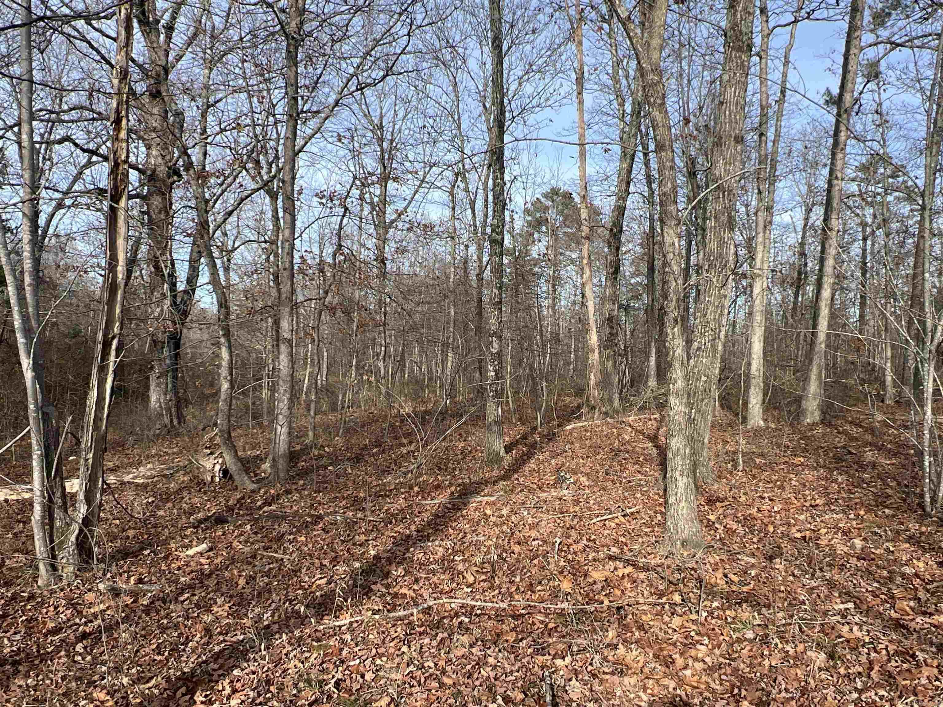 Metes & Bounds - Land