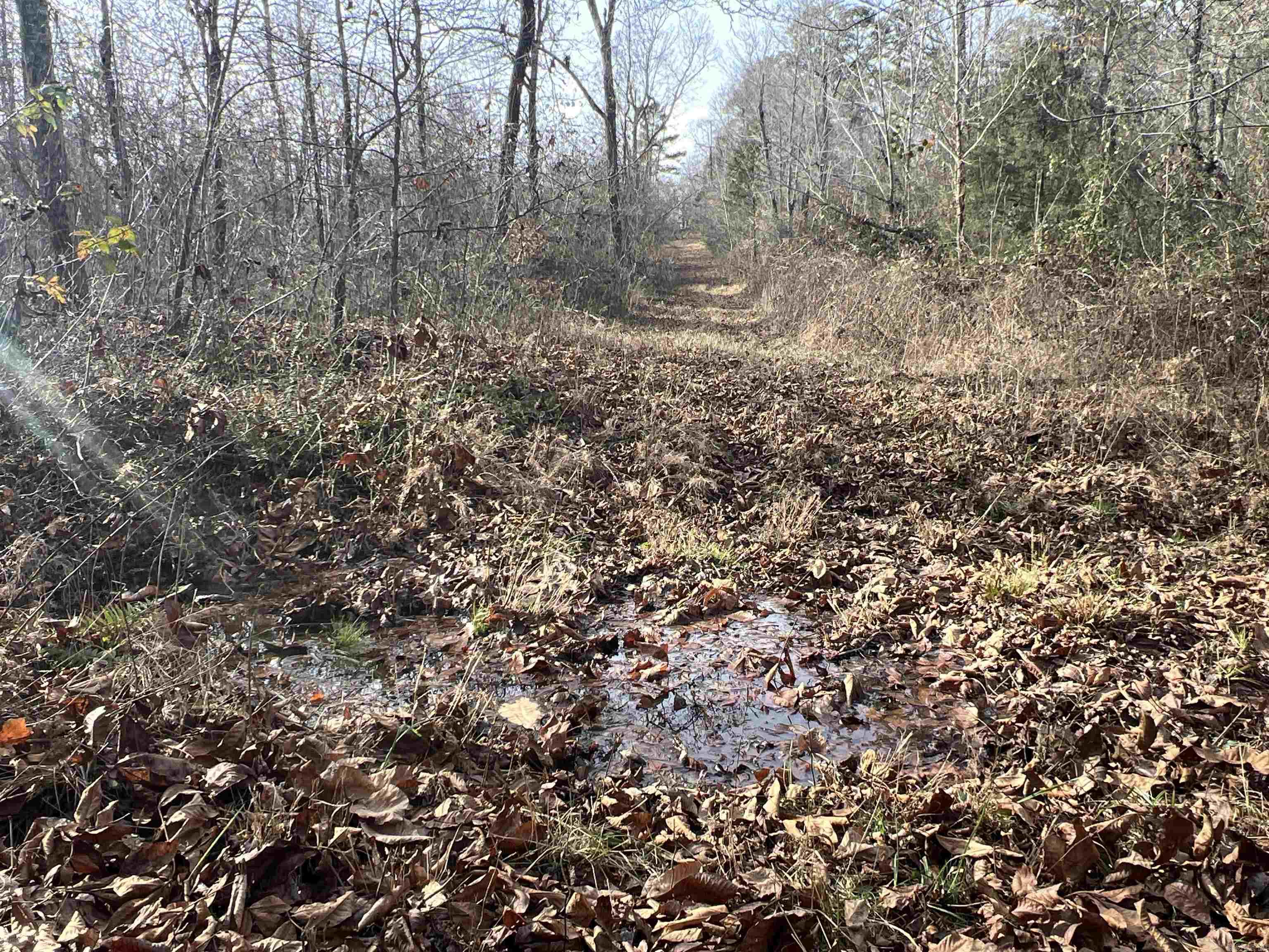 Metes & Bounds - Land