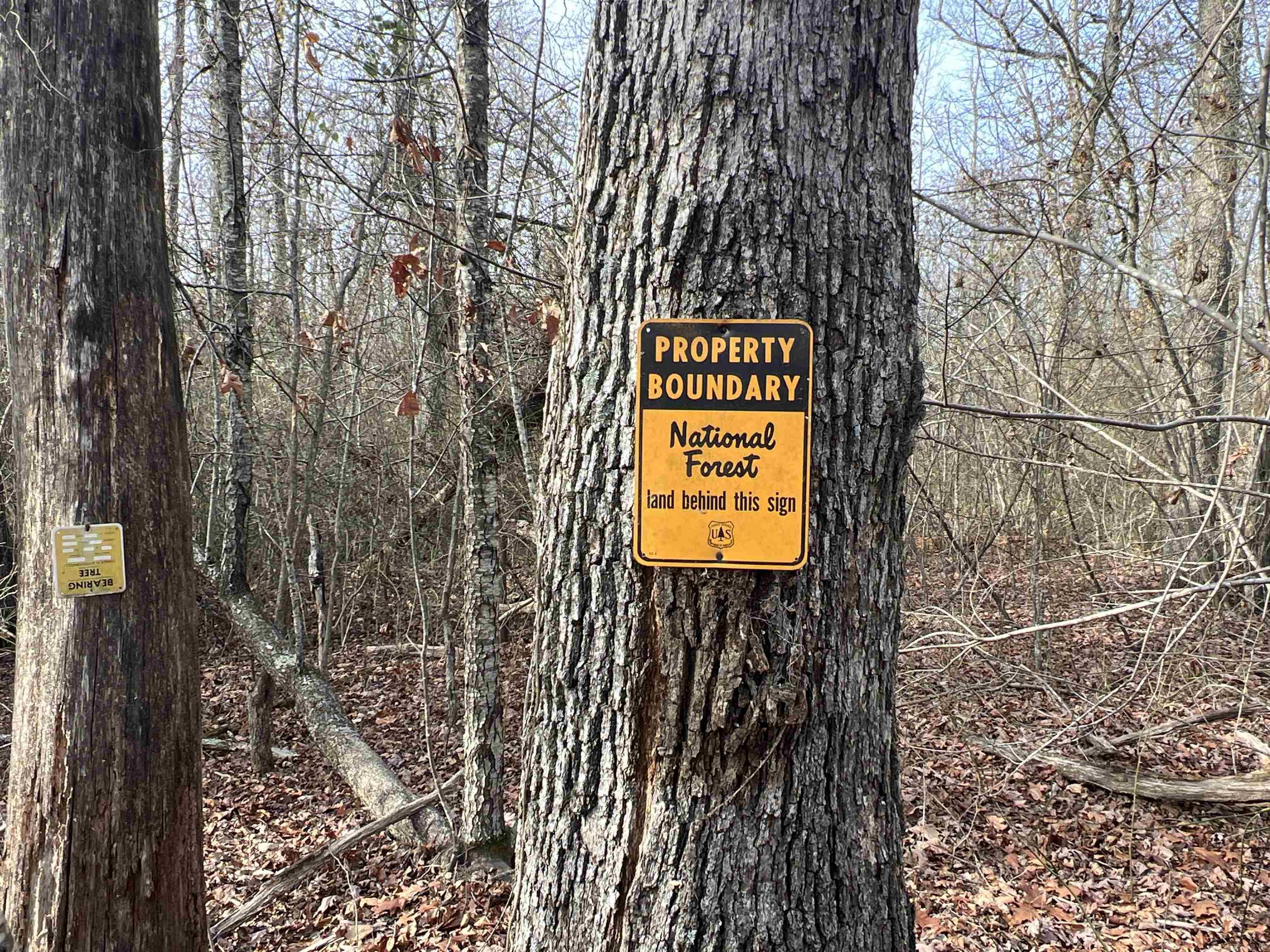 Metes & Bounds - Land