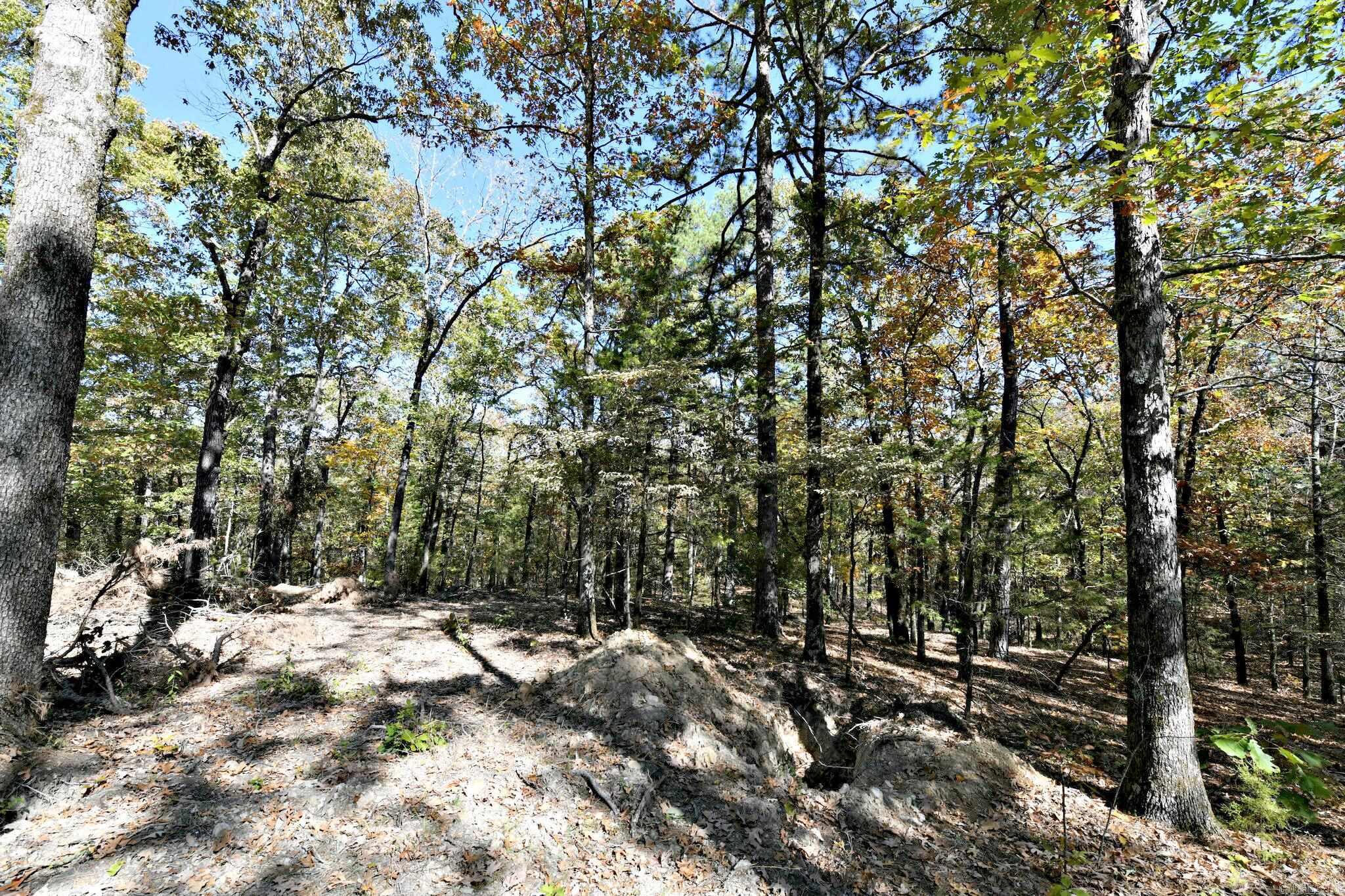 Board Camp - Land