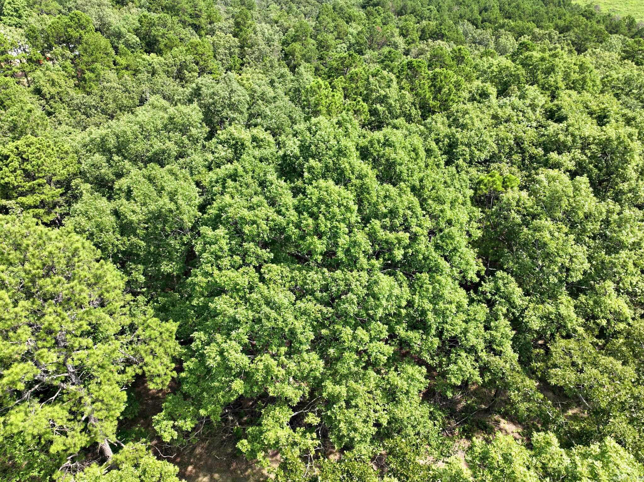 Are you looking for a vacation property? Or to build a home away from home? This quaint, 3 1/2 acre lot might just be for you. With a good building spot already mapped out, rural water and power, and it's proximity to ATV trails, this lot would make a great place to get away. Taxes are to be assessed once the subdivision is completed. NO Mobiles allowed. Perk test has been done.