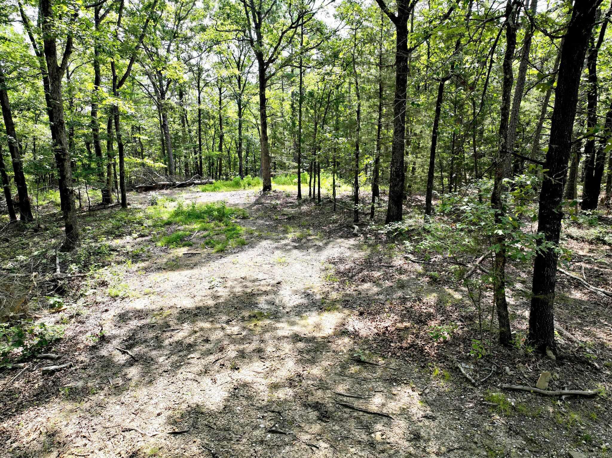 Board Camp - Land