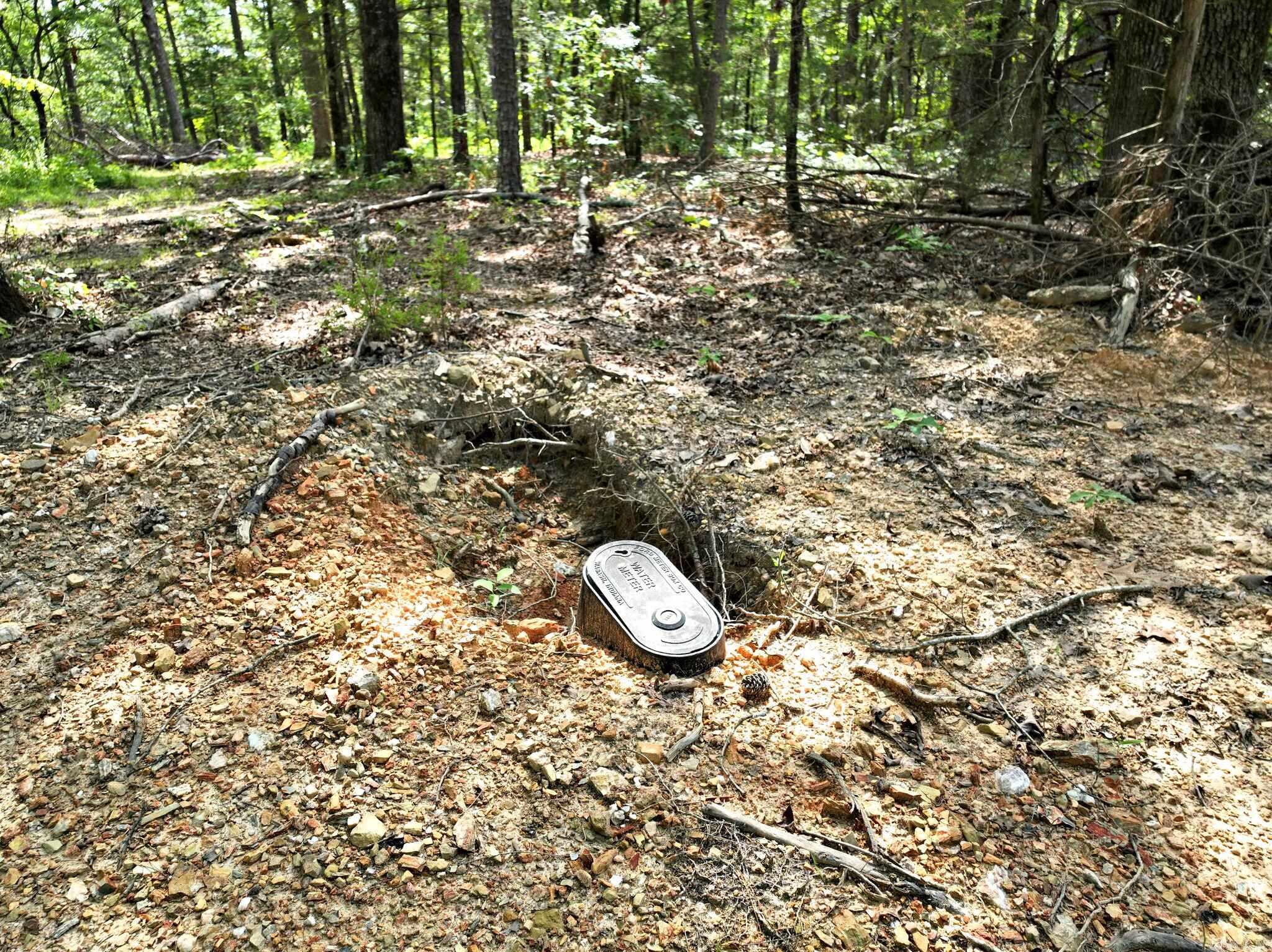 Board Camp - Land