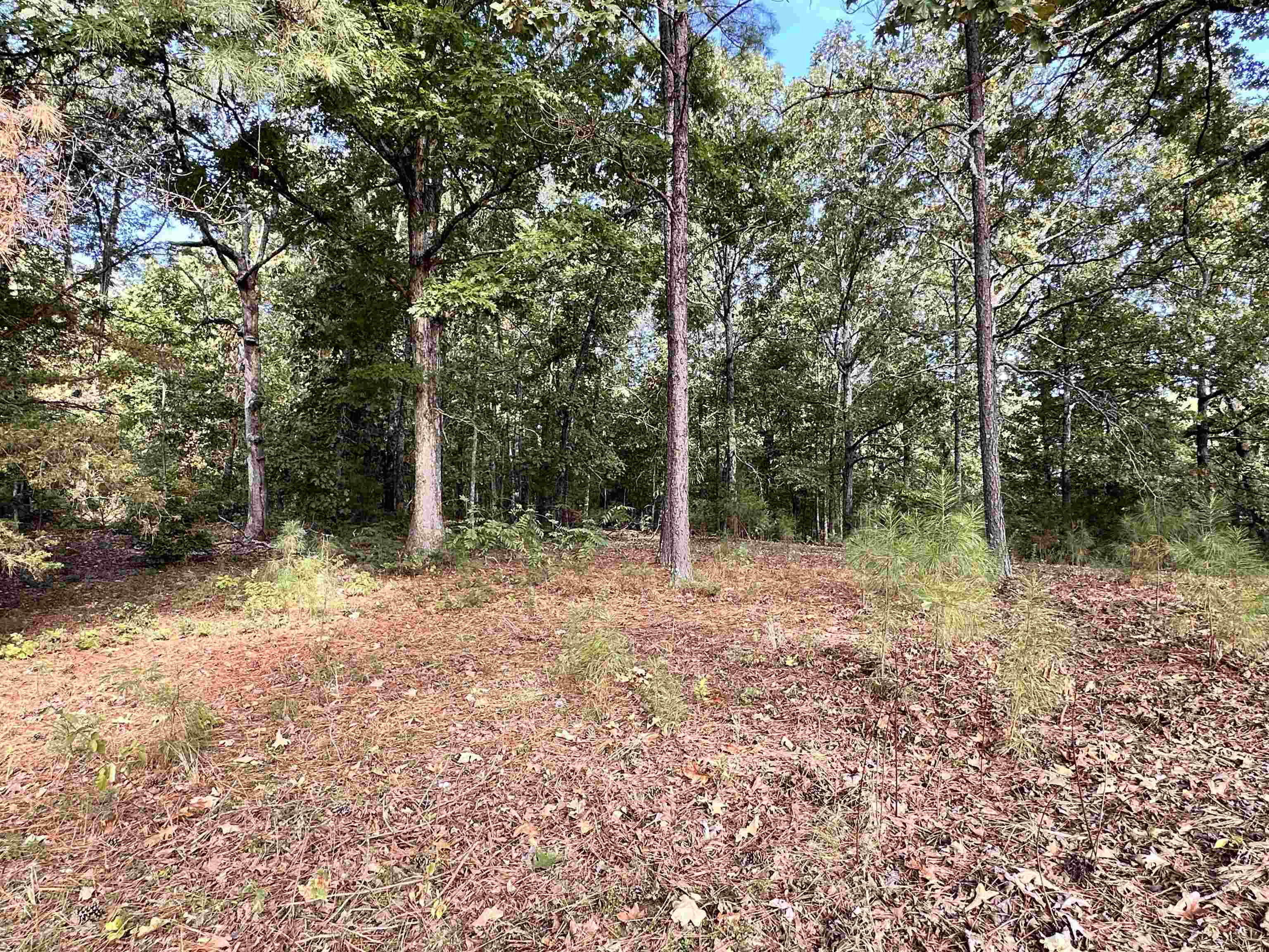 Ranchettes 3rd - Residential