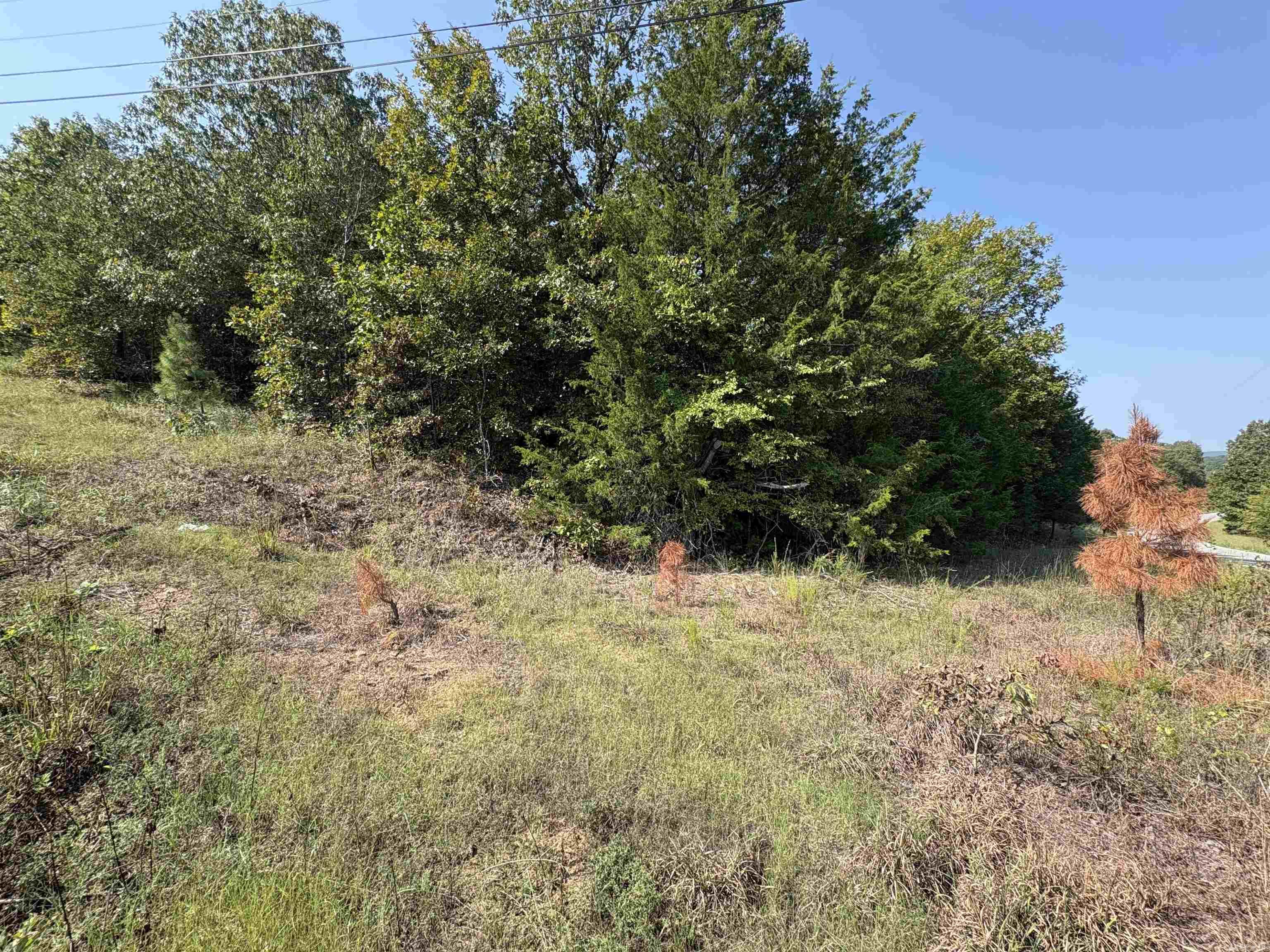 Not in Subdivision - Land