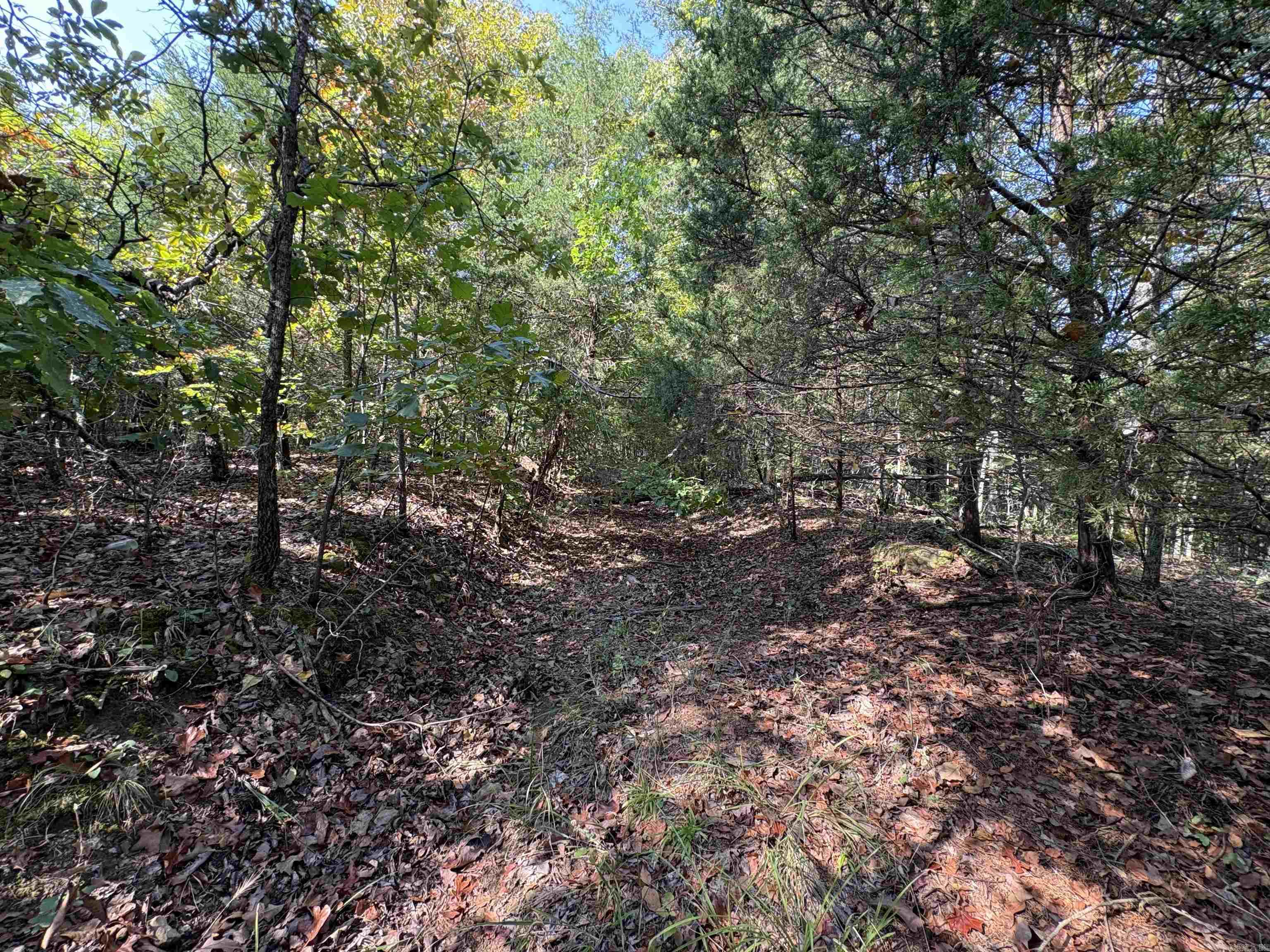 Not in Subdivision - Land