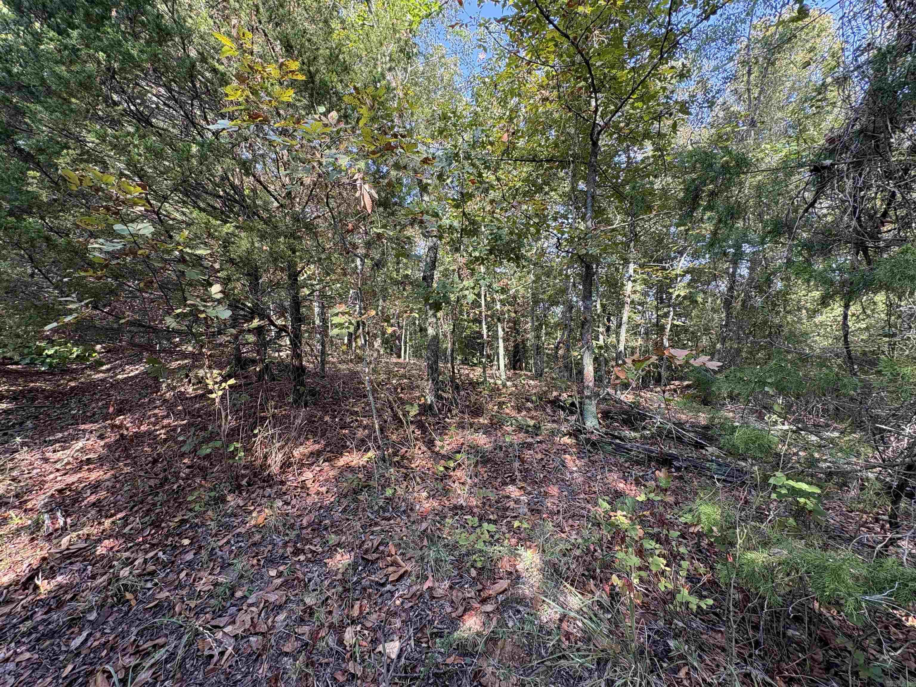 Not in Subdivision - Land