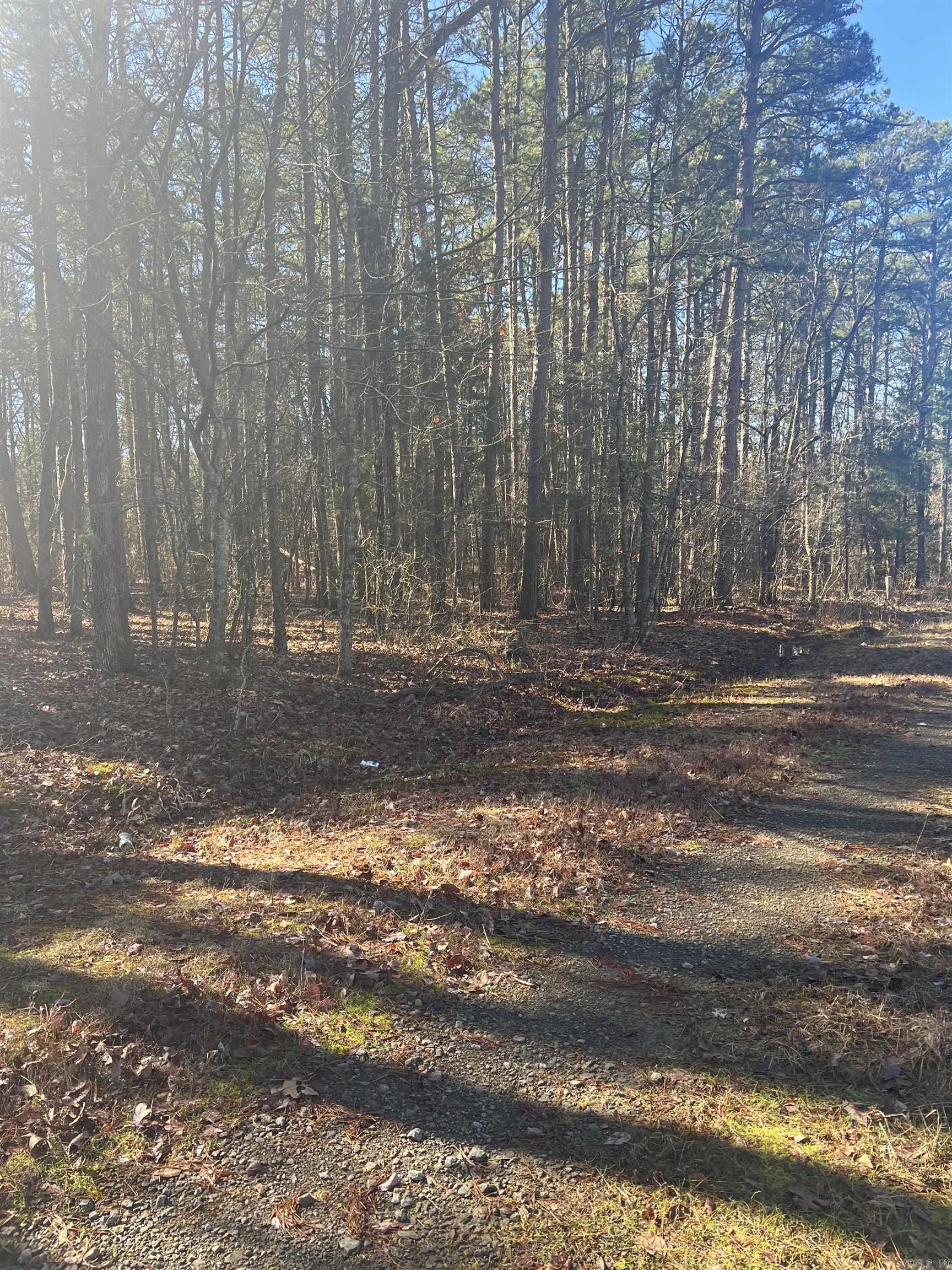 Lakeshore Hills II - Land