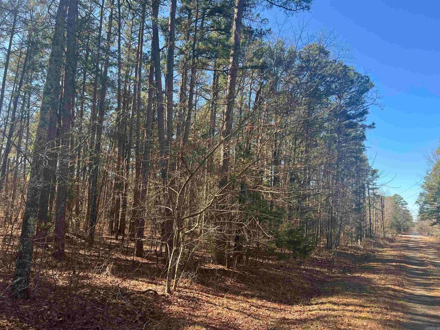 Nice and private, wooded lot just outside of Higden. .58 acre tract, some utilities available at the road. Within a few minutes of Sugarloaf Recreation Park, The Narrows and Millcreek Recreation Park on Greers Ferry Lake.