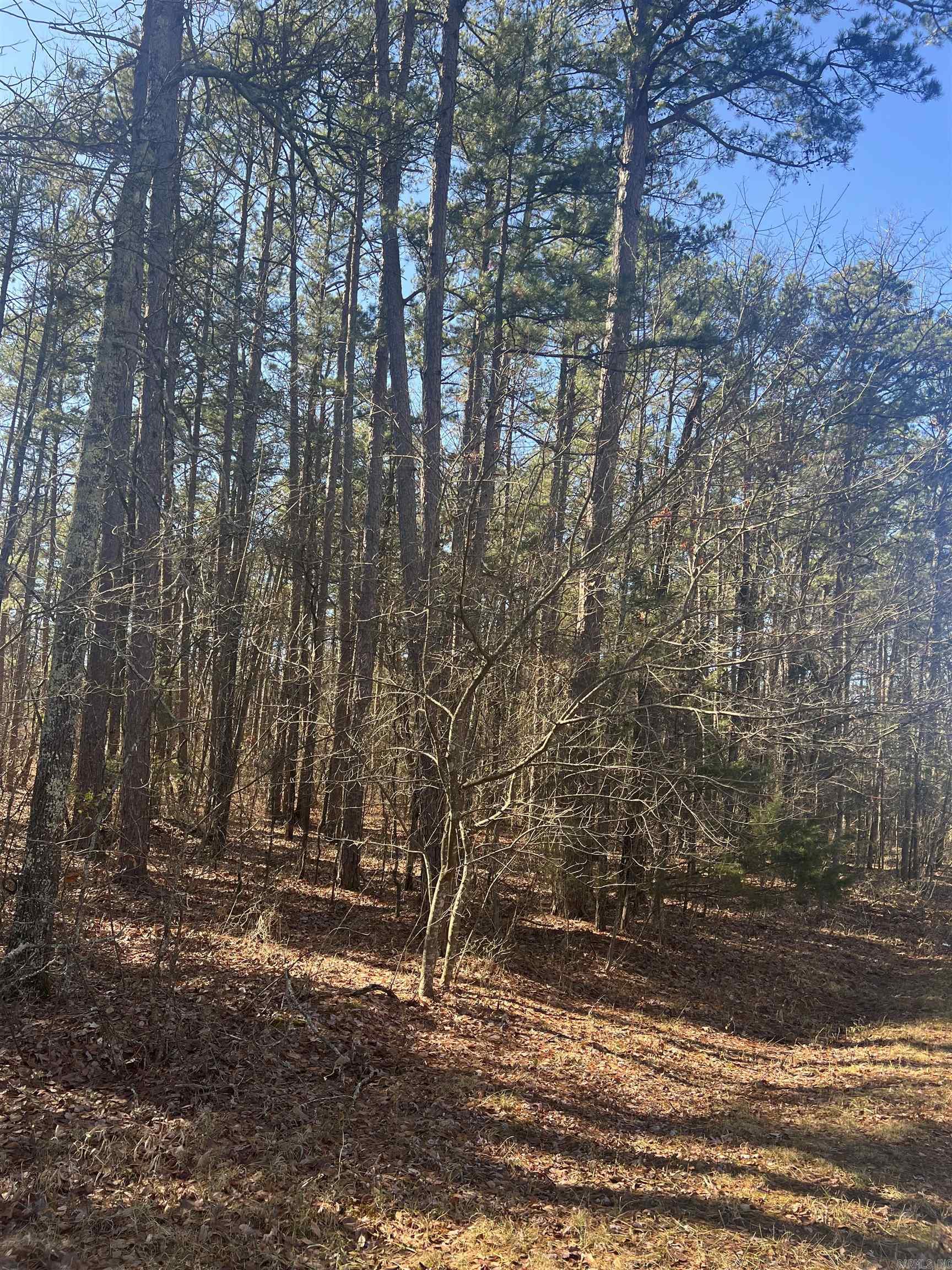 Lakeshore Hills II - Land