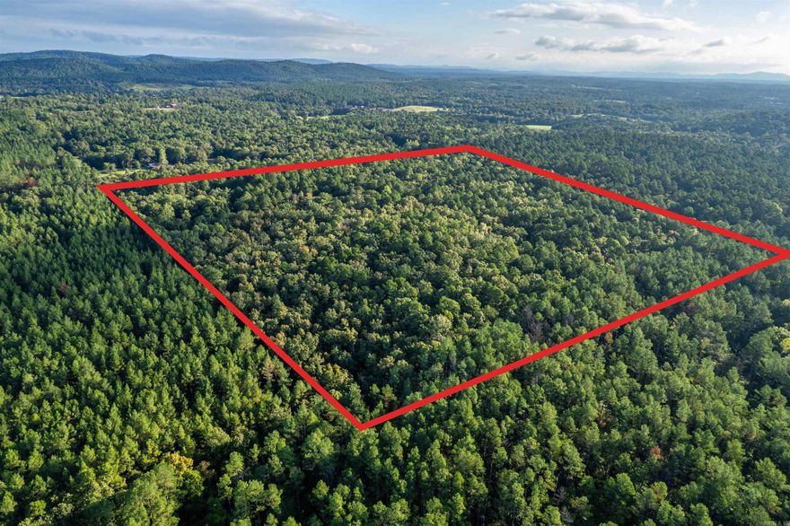 40-acre parcel of timberland.