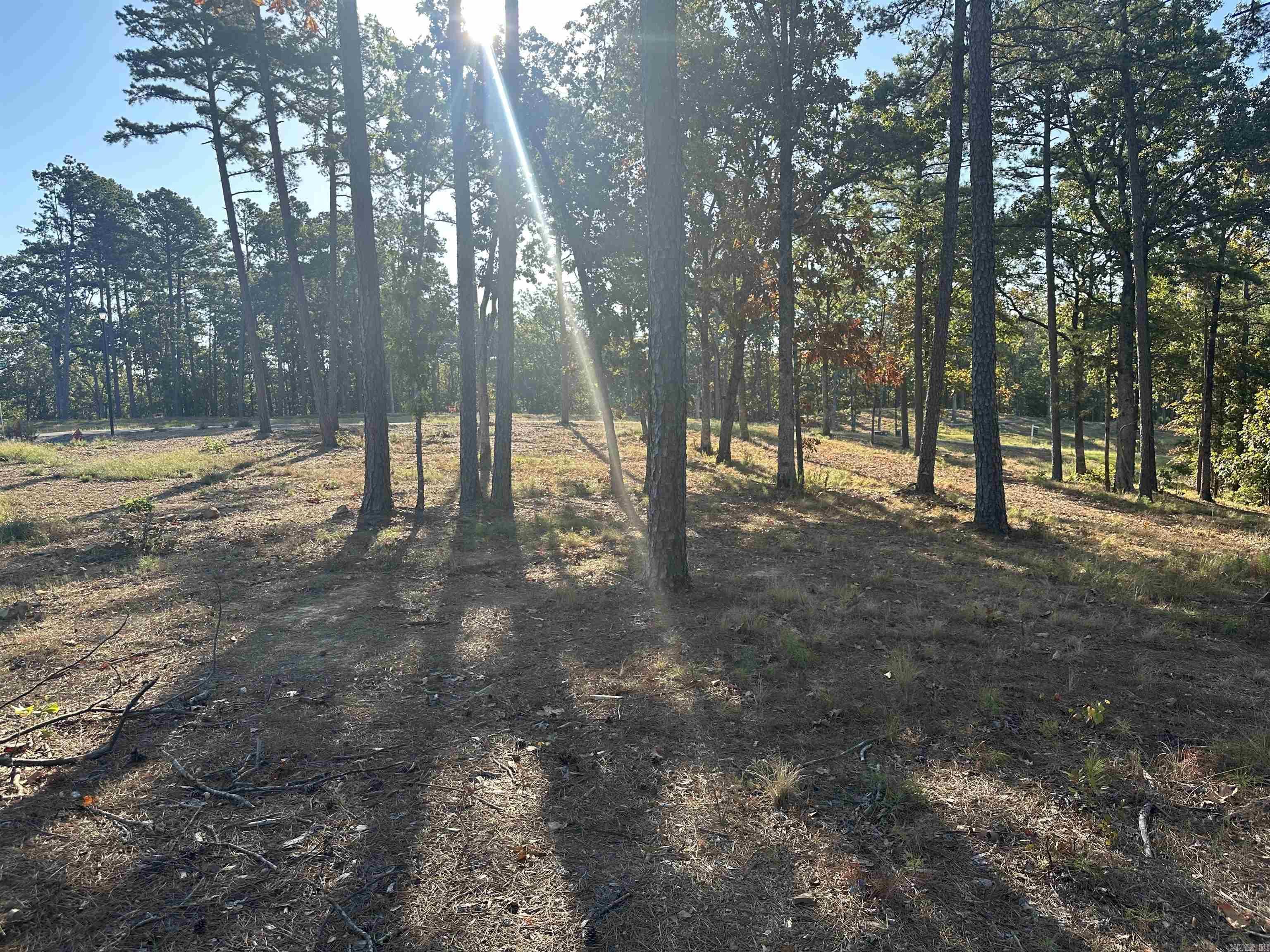Don't miss this beautiful premium corner lot in Conway's newest subdivision on Round Mountain. 3,000 sq ft minimum. May be purchased with connecting lot 16 for $220,000.00