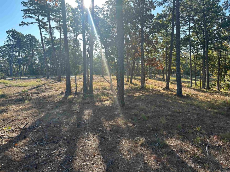 Don't miss this beautiful premium corner lot in Conway's newest subdivision on Round Mountain. 3,000 sq ft minimum.  May be purchased with connecting lot 16 for $220,000.00