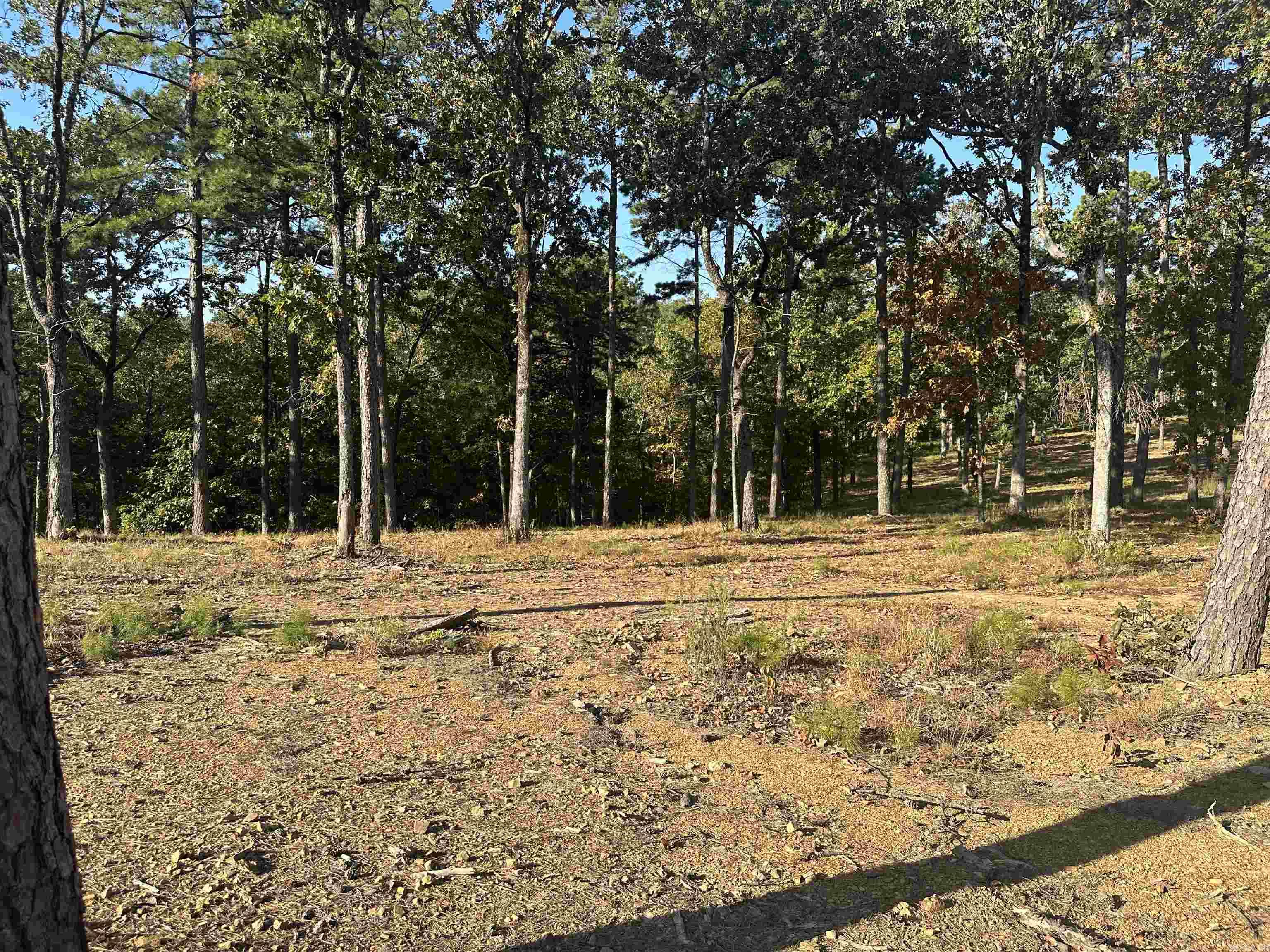 Orchard Hill - Land