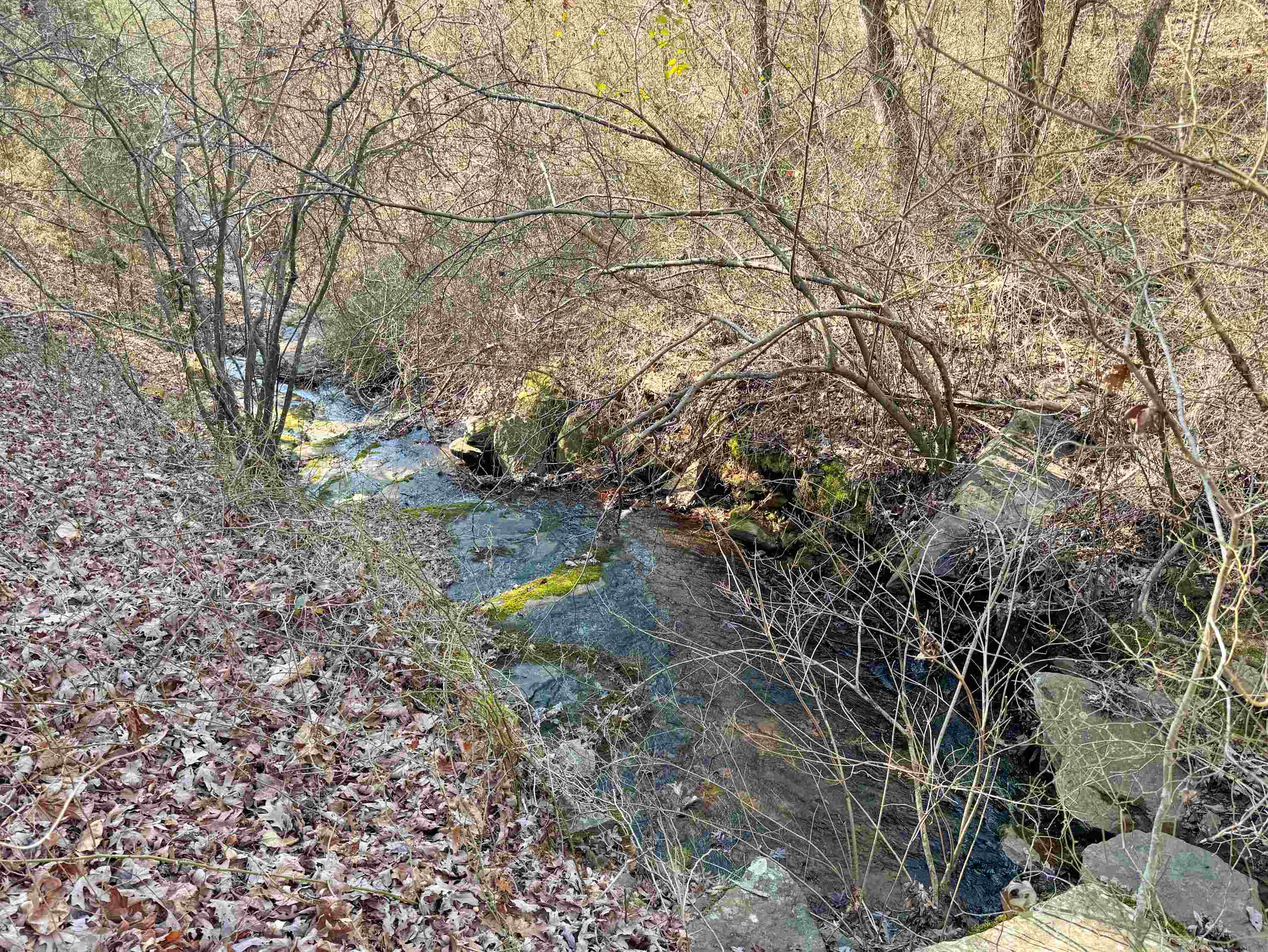 Metes & Bounds - Land