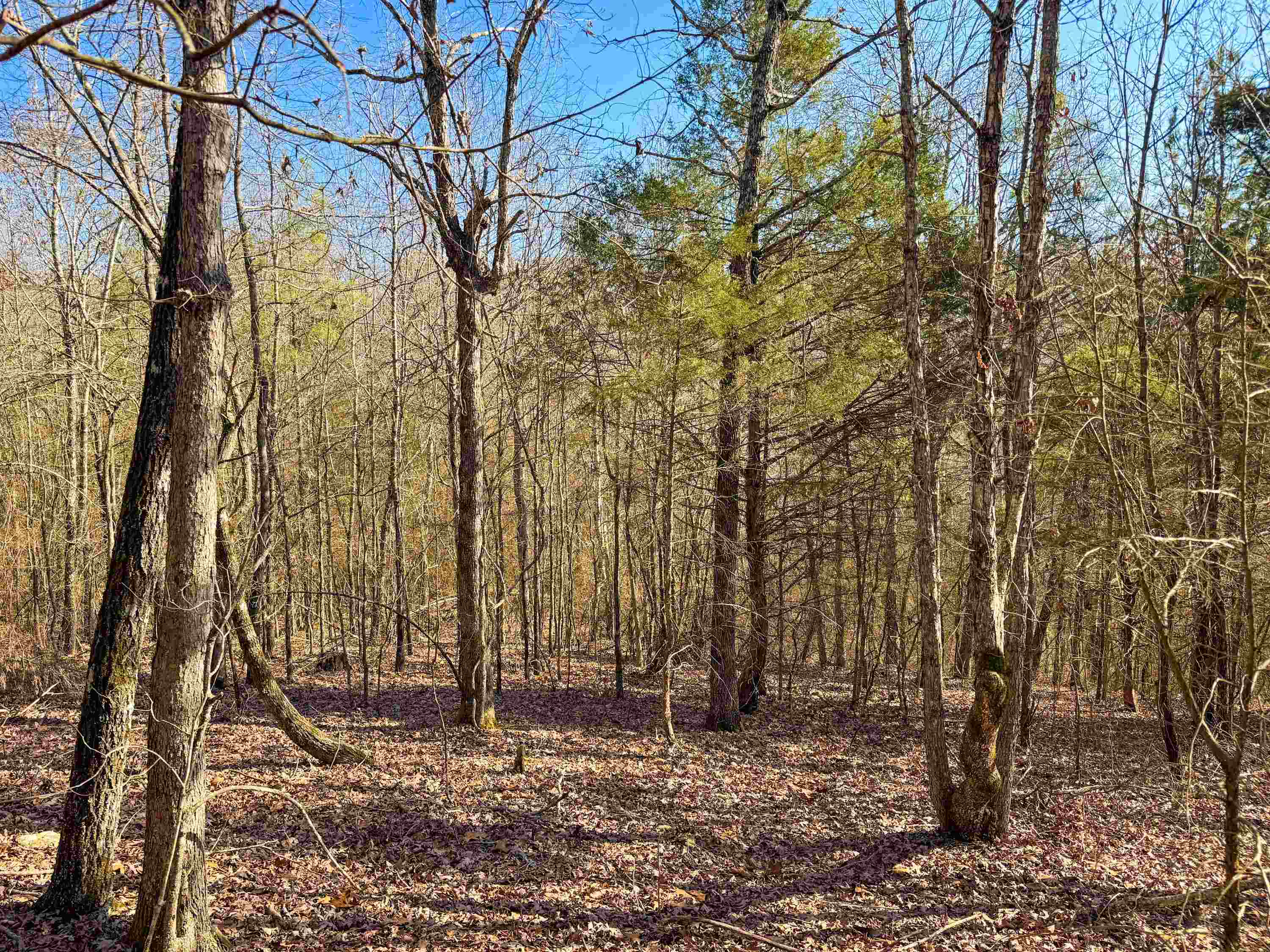 Metes & Bounds - Land