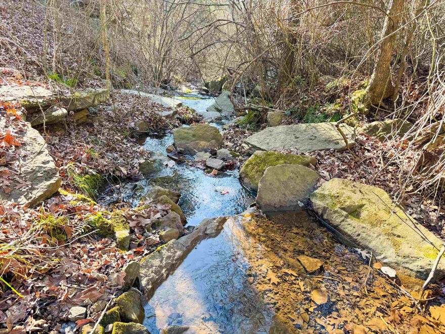 Truly beautiful tract of woods just north of Quitman and only minutes from Greers Ferry Lake. Along the western portion, there are a few knolls that would make perfect home sites. Small valleys with wet-weather brooks converge into a larger dell on the eastern side of the property, through which a nice rock-bottom creek flows. Good mix of hardwoods and evergreens, with towering white oaks along the creek. Abundant wildlife, including white-tailed deer, eastern cottontail rabbits, and gray squirrels. The property has access to utilities along Guy Lane. A gas pad road runs the entire western border (gas pad not on this property). This gives excellent access to the property and would make for a nice driveway if desired.