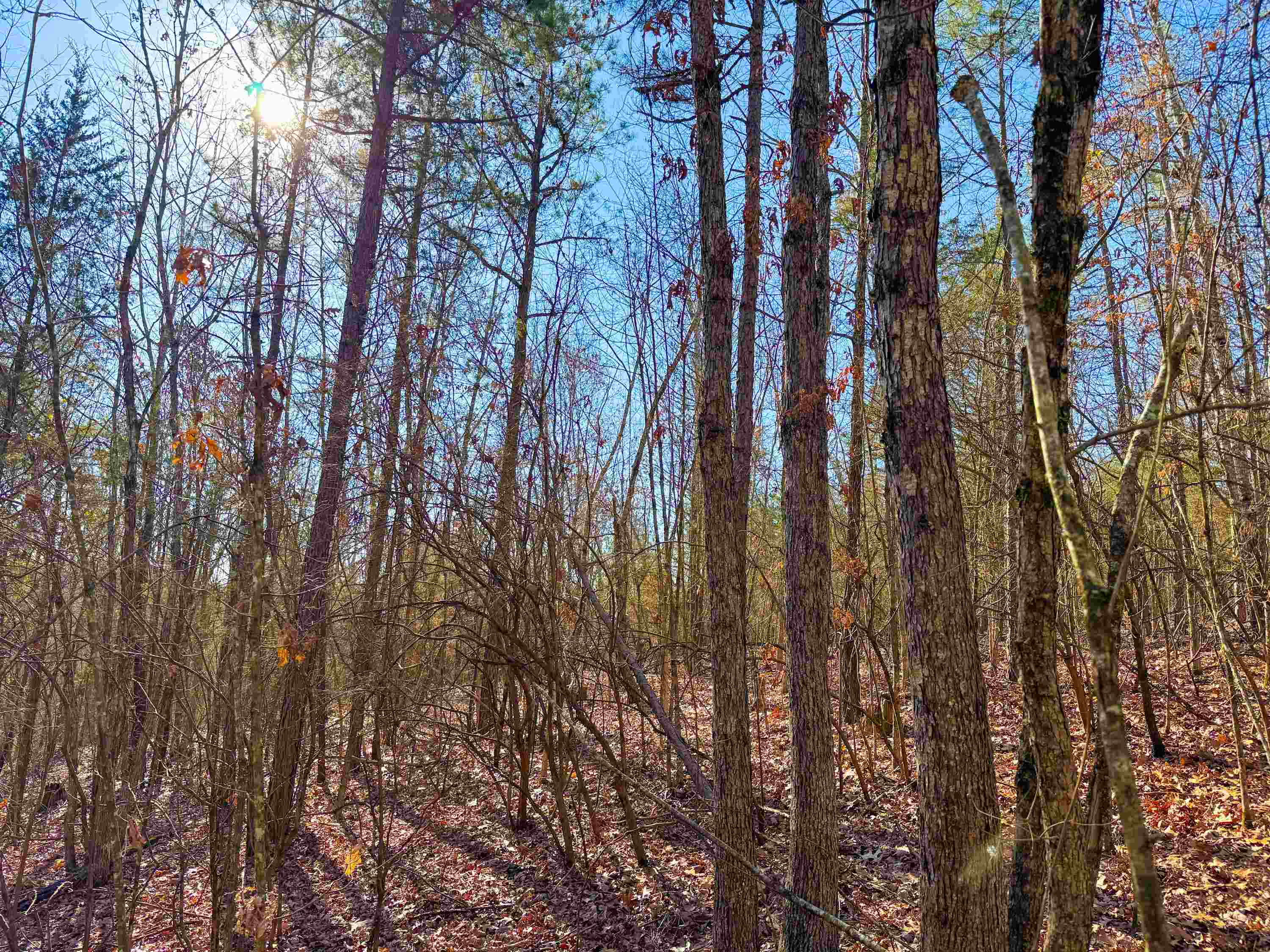 Metes & Bounds - Land