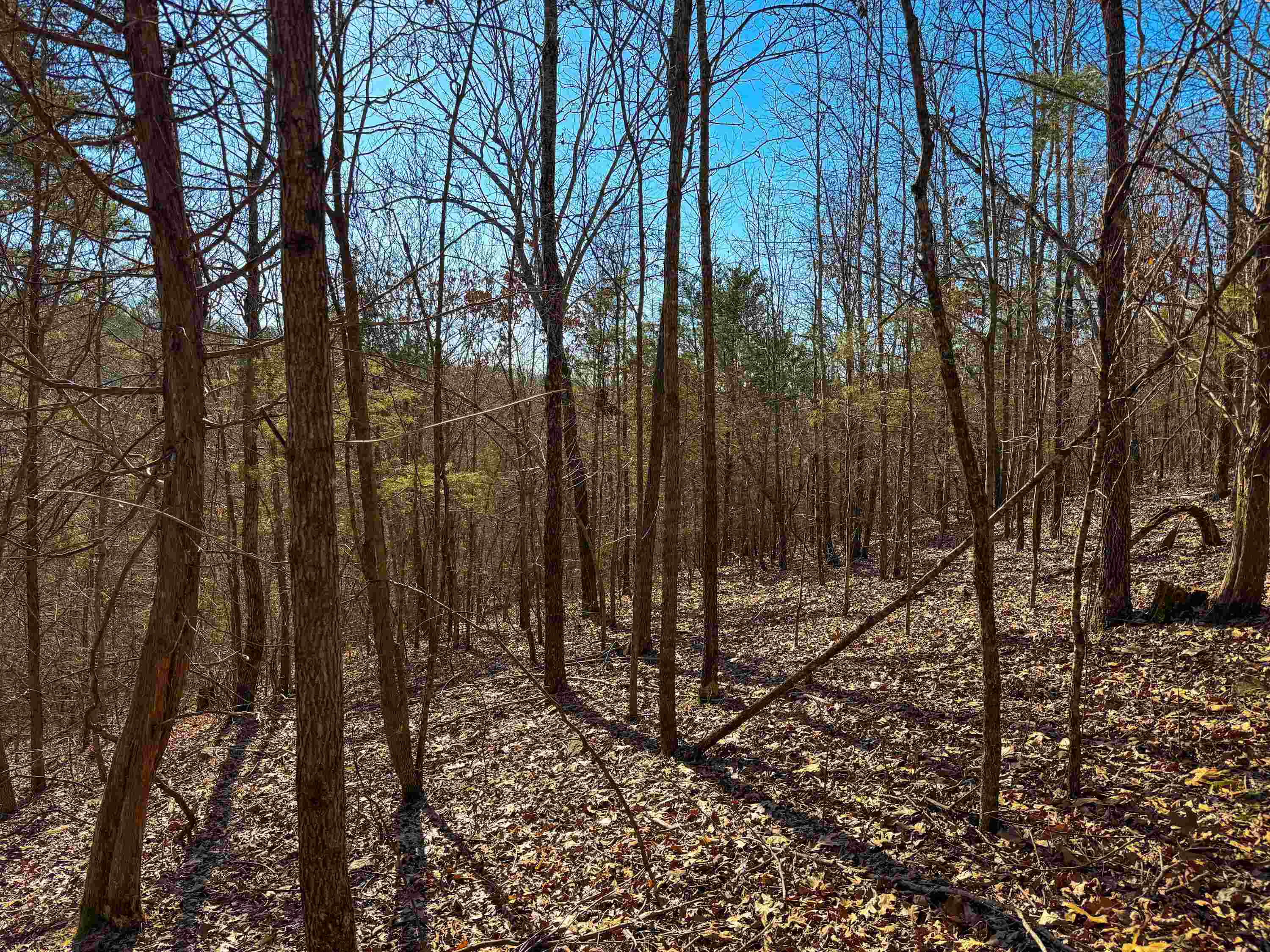 Metes & Bounds - Land