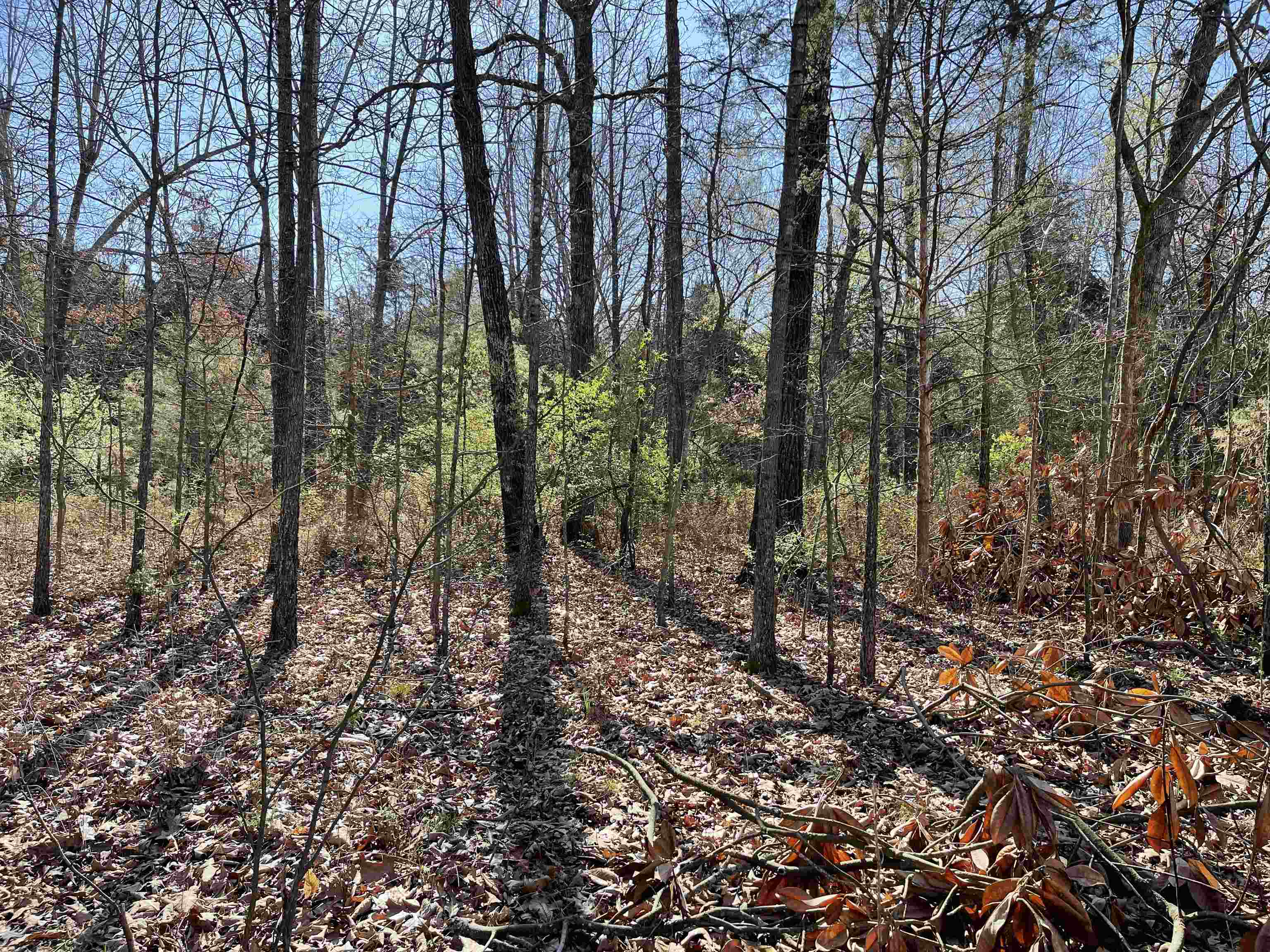 Sleepy Hollow - Land