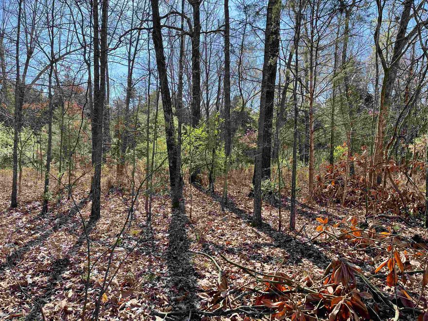 Lovely Lakeview Lot across the street from Crown Lake. This is located in a great neighborhood with several new homes being built on the Lake. Will need a state approved perc before building.