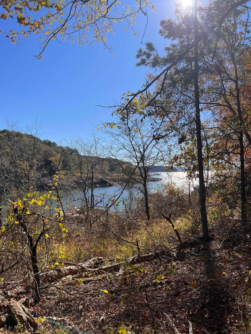 Beautiful lake front property with great building sites.