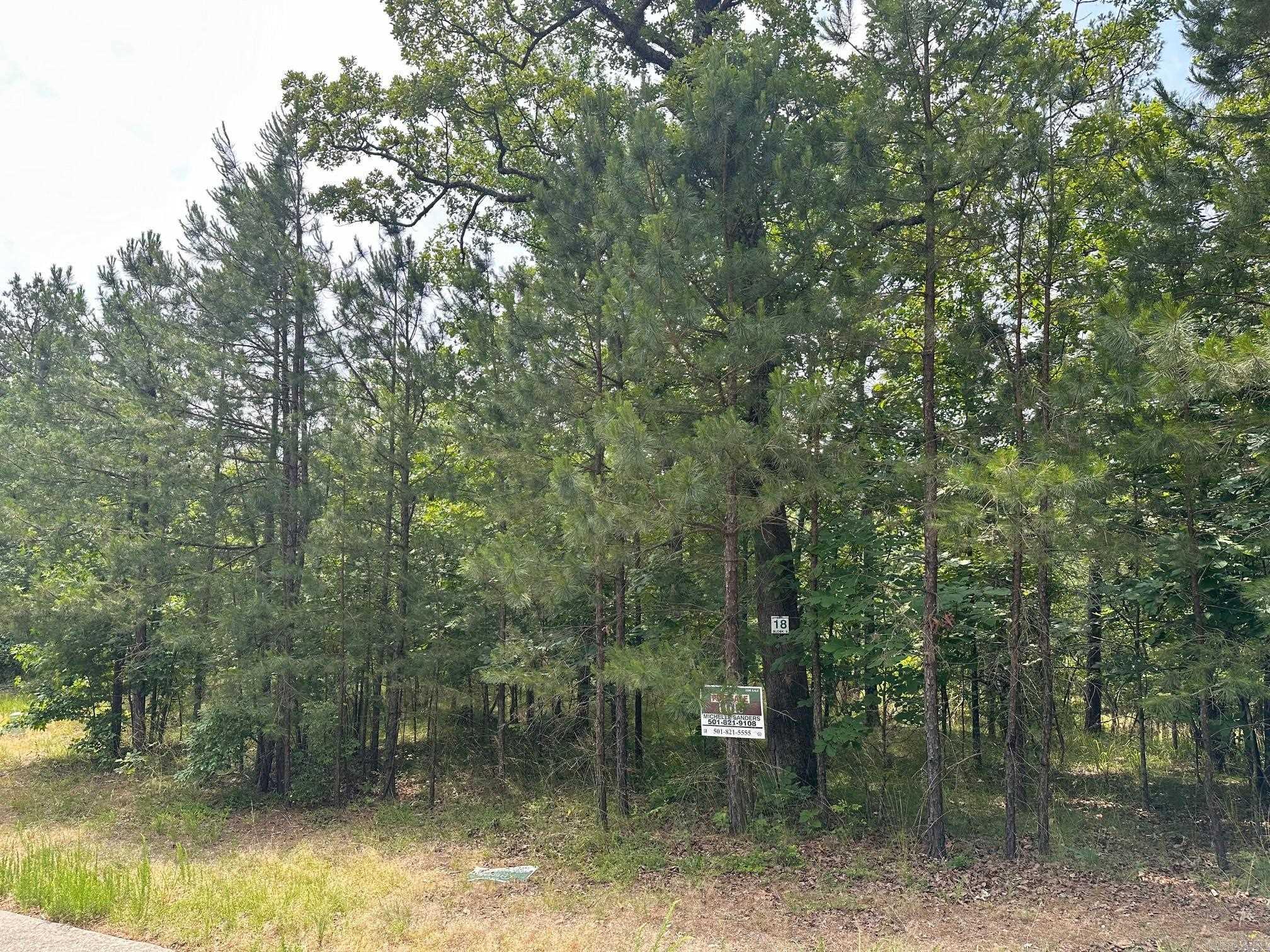 GREAT BUILDING SITE IN THE PREMIER GATED COMMUNITY OF HOT SPRINGS - RED OAK RIDGE . SITUATED ON 800 ACRES WITH 600 ACRES TO BE DEVELOPED. ENJOY SERENITY AND PEACEFULNESS WITH LAKE AND MOUNTAIN VIEWS WITH SOME OF THE LOTS. PAVED WALKING PATHS ALONG THE LAKE FRONTS OF THE TWO PRIVATE RED OAK RIDGE SPRING FED LAKES - STOCKED WITH BASS FOR FISHING - ALONG WITH SMALL BOATING ACTIVITIES. ENJOY MOTHER NATURE AT ITS BEST! GREAT LOCATION CLOSE TO ACTIVITIES!!