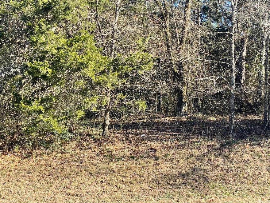 Discover an exceptional opportunity with 27 acres located inside the city limits Fairfield Bay, Arkansas, and less than 2 miles from Greers Ferry Lake. This versatile property offers highway frontage, making access easy and visibility ideal for a variety of uses. Situated near Mountain Ranch Golf Course and all the amenities Fairfield Bay has to offer—including marinas, restaurants, recreation, and lake access—this land is perfectly positioned for both personal and commercial possibilities.  The property lends itself to numerous uses such as commercial development, RV or boat storage, a private residence with acreage, or future investment. The land also presents an excellent opportunity to subdivide into multiple parcels for resale or development. Whether you’re looking to build, invest, or develop, this property offers location, flexibility, and long-term potential in one of North Central Arkansas’s most desirable areas. Don’t miss this exceptional investment opportunity.  See agent remarks...