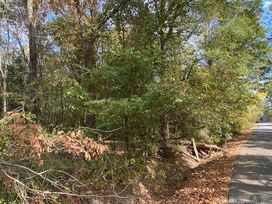 Corner lot on Hwy 60. Utilities at Rd. Has an old house on it of no value.  See agent remarks