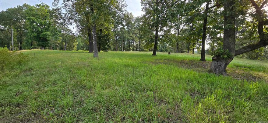 Ready for Your Dream Home or Manufactured Home! This 5-acre parcel site on the corner of Owasso and HWY 128 in Bismarck Arkansas! Offers a perfect setting for your home or country retreat. With easy access and beautiful surroundings, this property is ideal for those seeking both privacy and convenience. This 5-acre lot with ample space for your custom-built home, barn, garden, or other outdoor endeavors City Water meter is already installed and ready for hookup. Beautiful, peaceful countryside setting with plenty of room for outdoor recreation. Location Highlights Just a short drive to Bismarck's local shops, restaurants, and schools Quick access to highway 7 for commuting or exploring the beautiful Ouachita Mountains nearby Nature lovers will appreciate nearby parks, lakes, and trails for hiking, fishing, and outdoor activities.