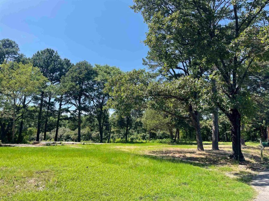 Beautiful open lot with some trees, water meter, water line, sewer, concrete pad, power pole, driveway, ready for a mobile home or a site built home