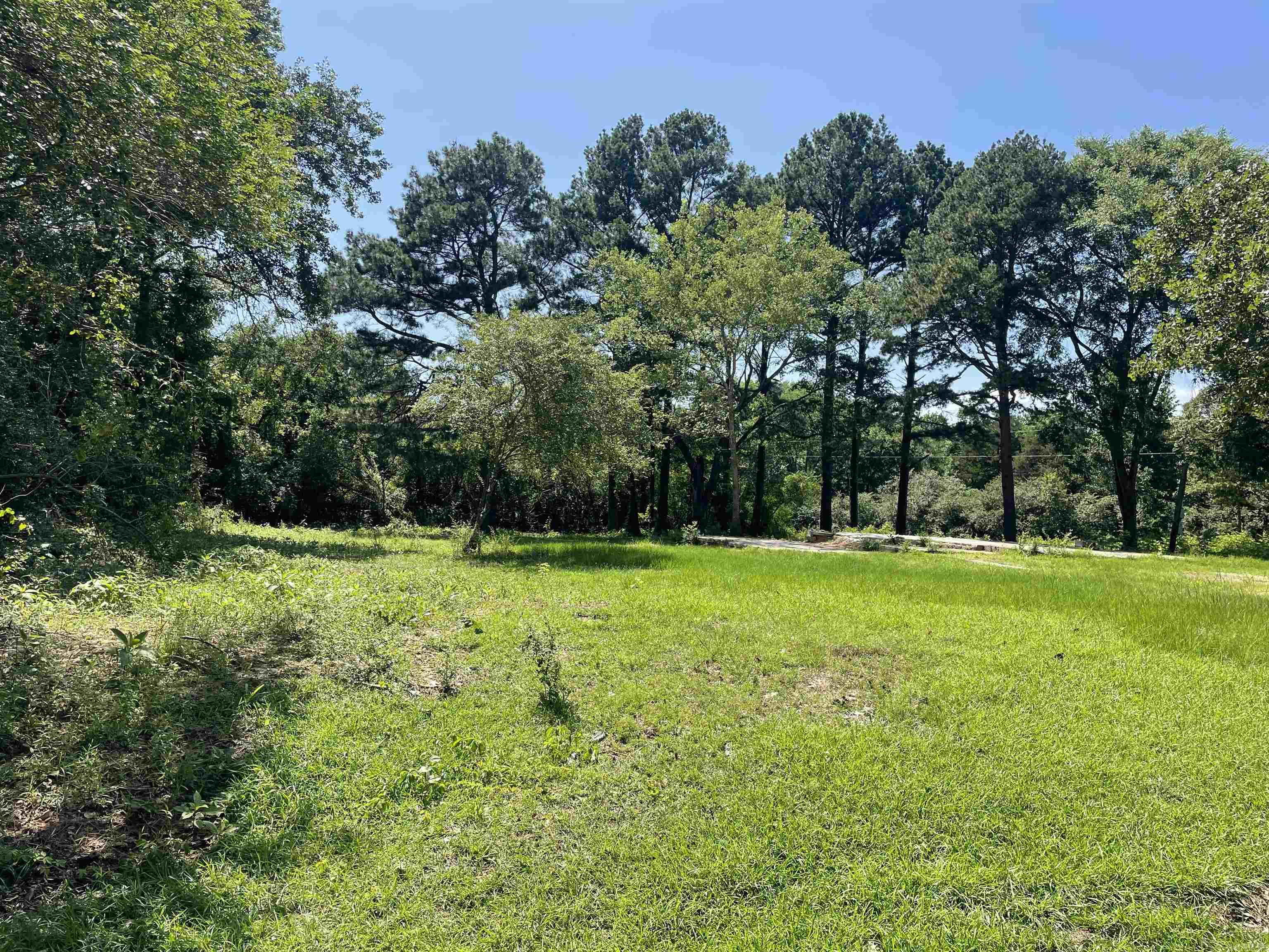 Judsonia Outlots - Land