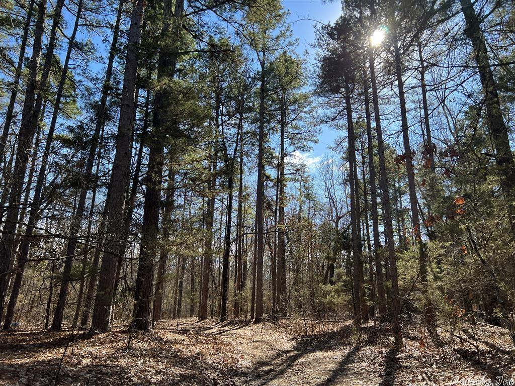 Hard to find 415 wooded acres adjoining ''Wildcat Ranch'' with mature timber that hasn't been logged in decades! This secluded land is located in the Foothills of the Ozarks and is loaded with wildlife. The Western Line adjoins the Wildcat Ranch high fence and the deer & turkey are plentiful. The property has a combination of level ground along with native rock formations that lead to a more elevated Southern portion of the property. There are good trails throughout and even access to a small creek.