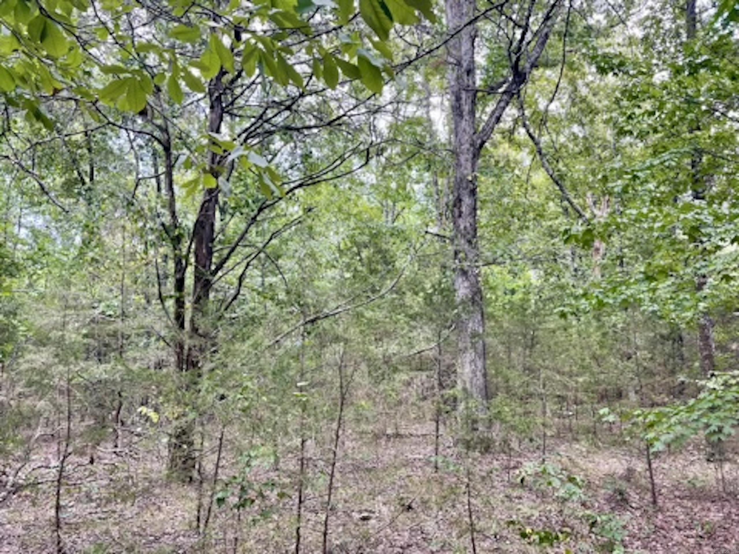 Not in Subdivision - Land