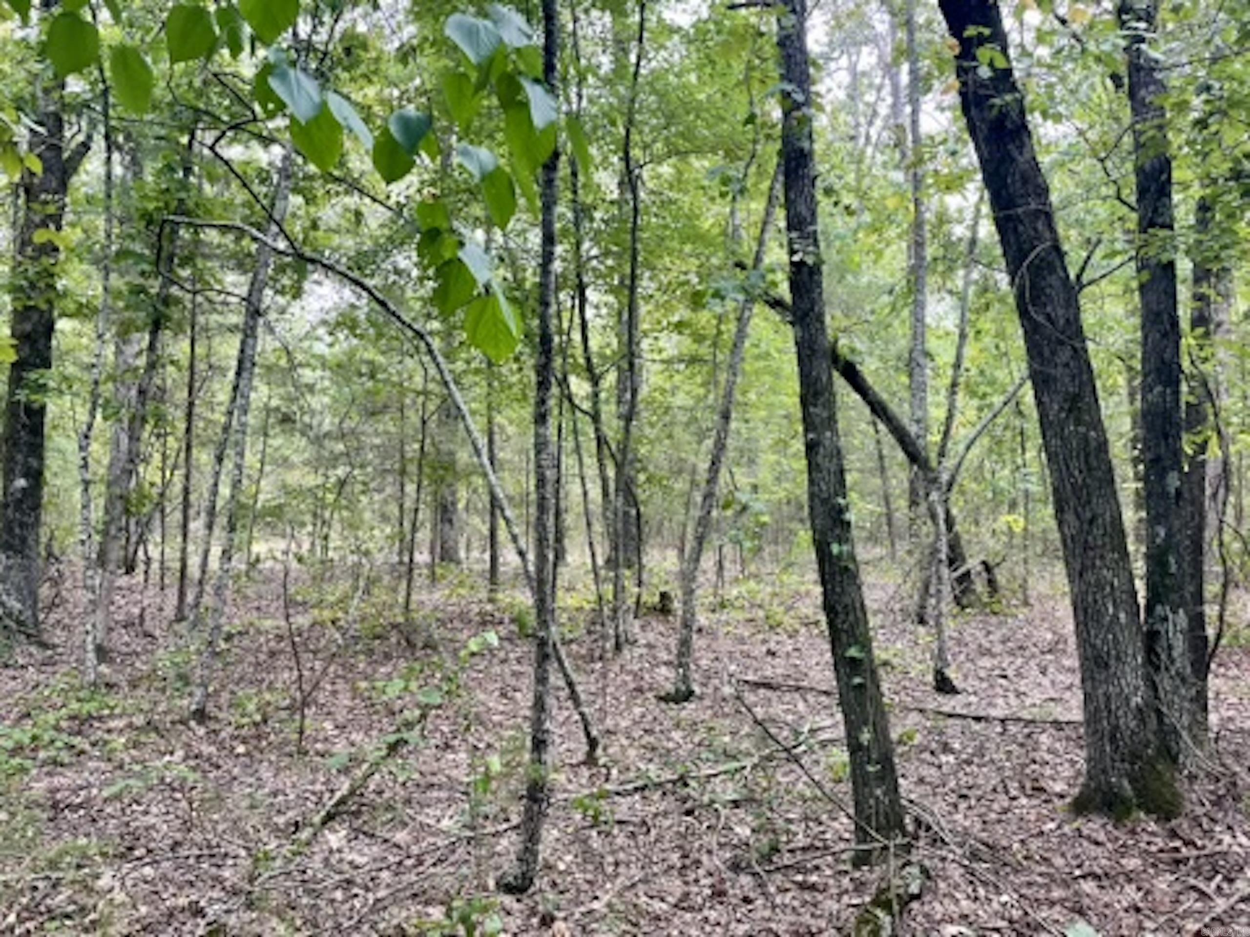 Not in Subdivision - Land