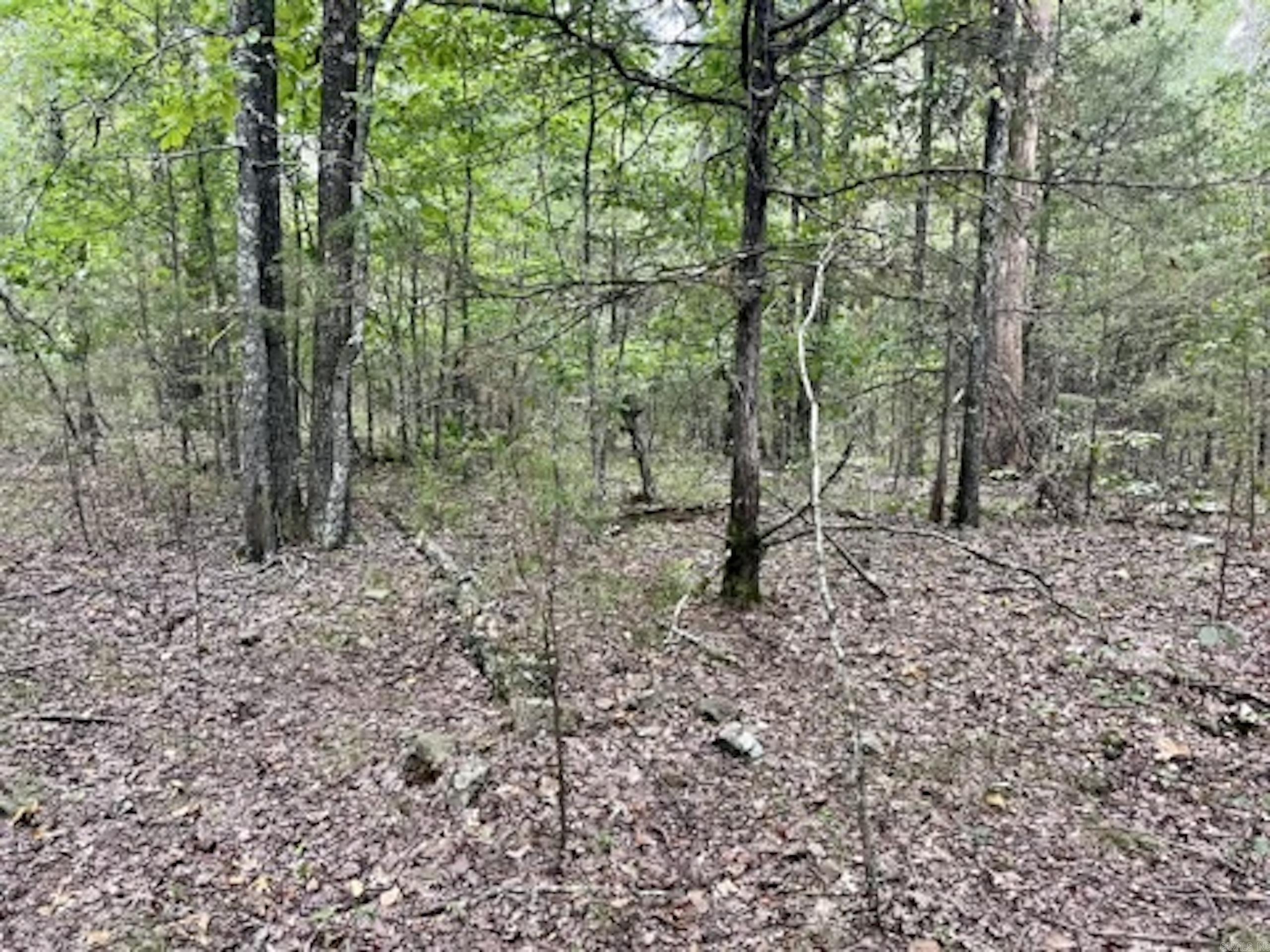 Not in Subdivision - Land
