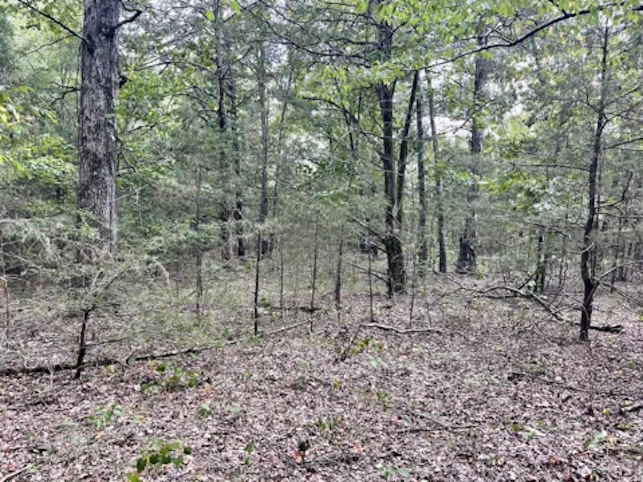 Not in Subdivision - Land
