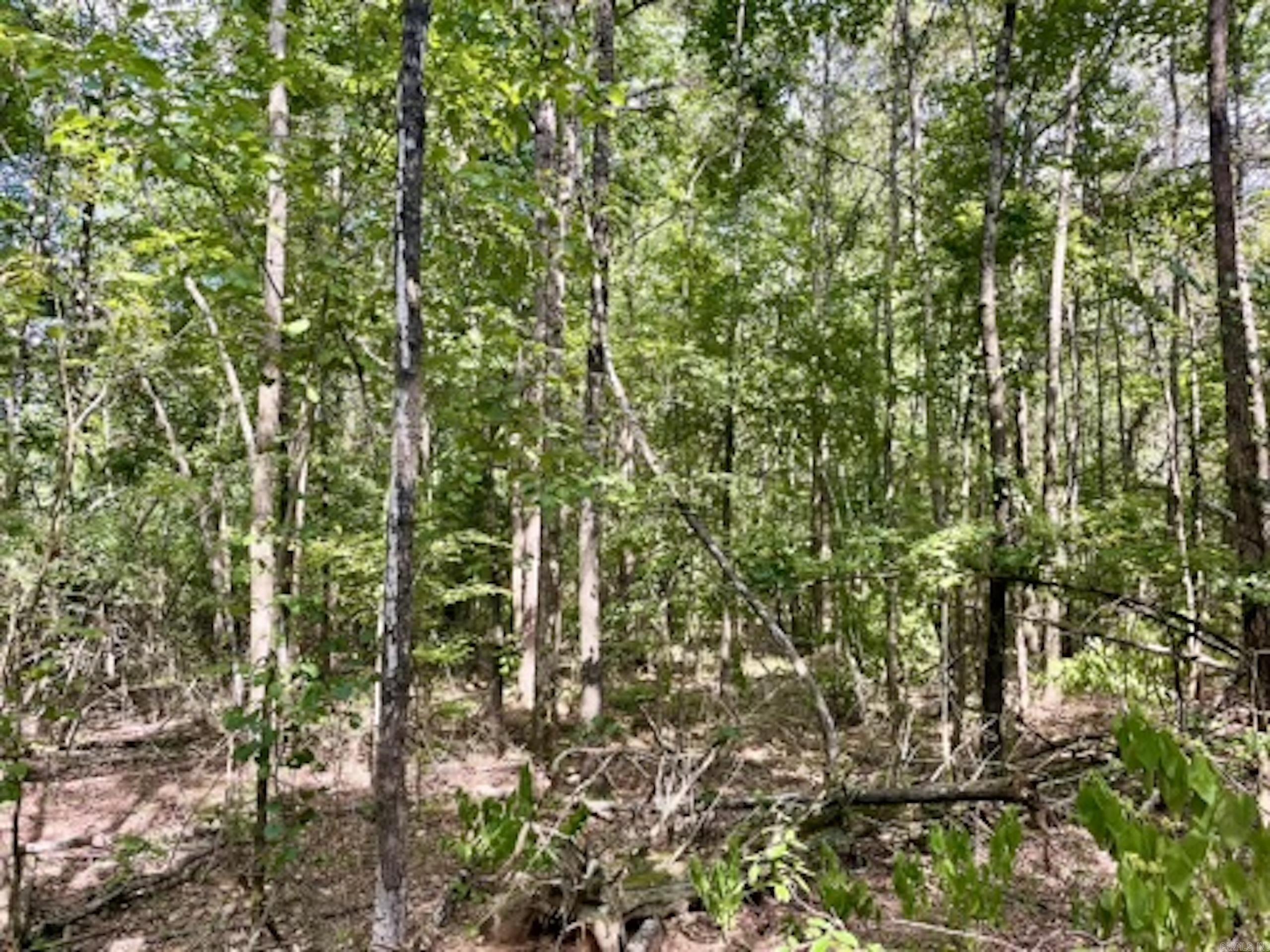 Not in Subdivision - Land
