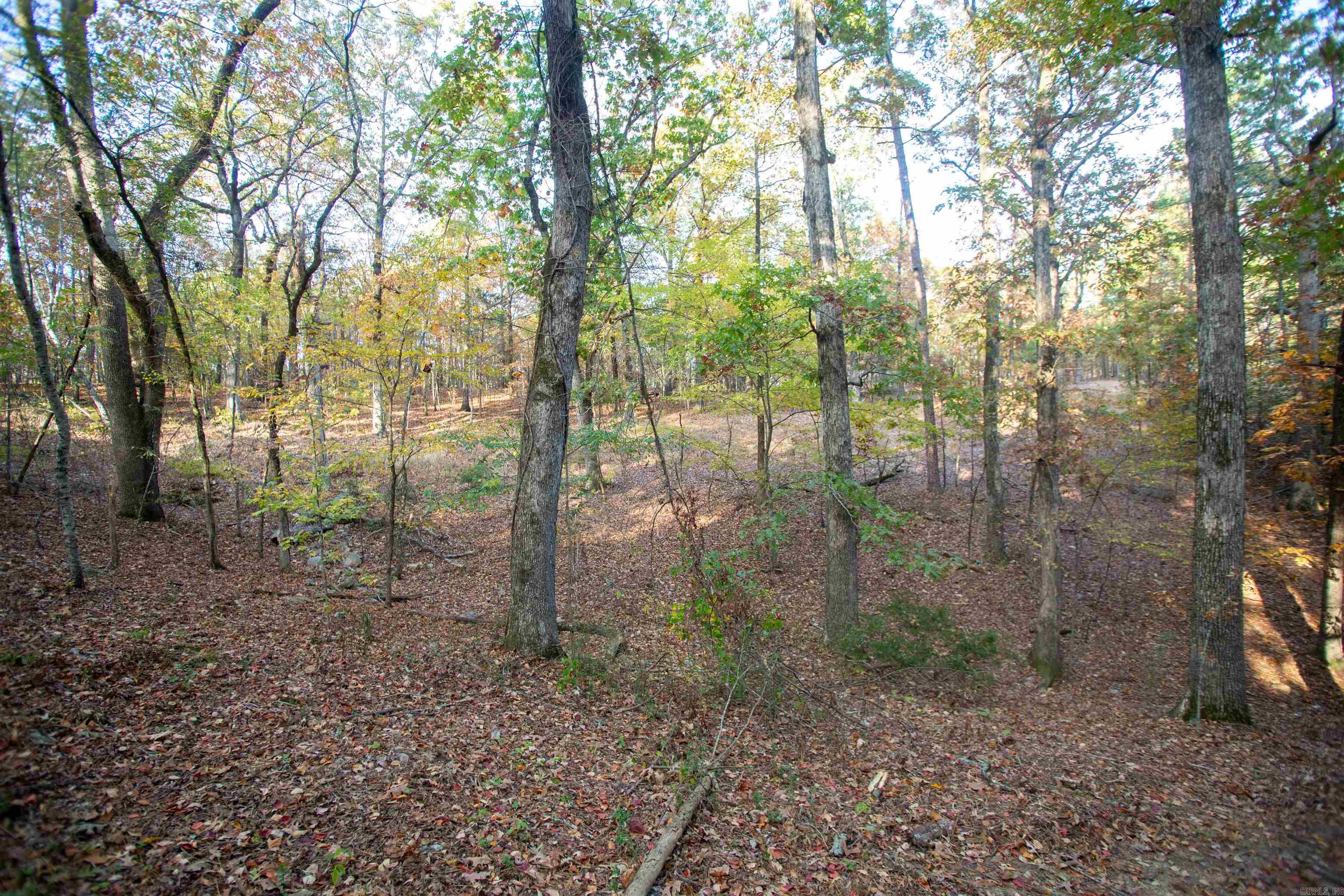 Spring Valley Manor - Residential Lease