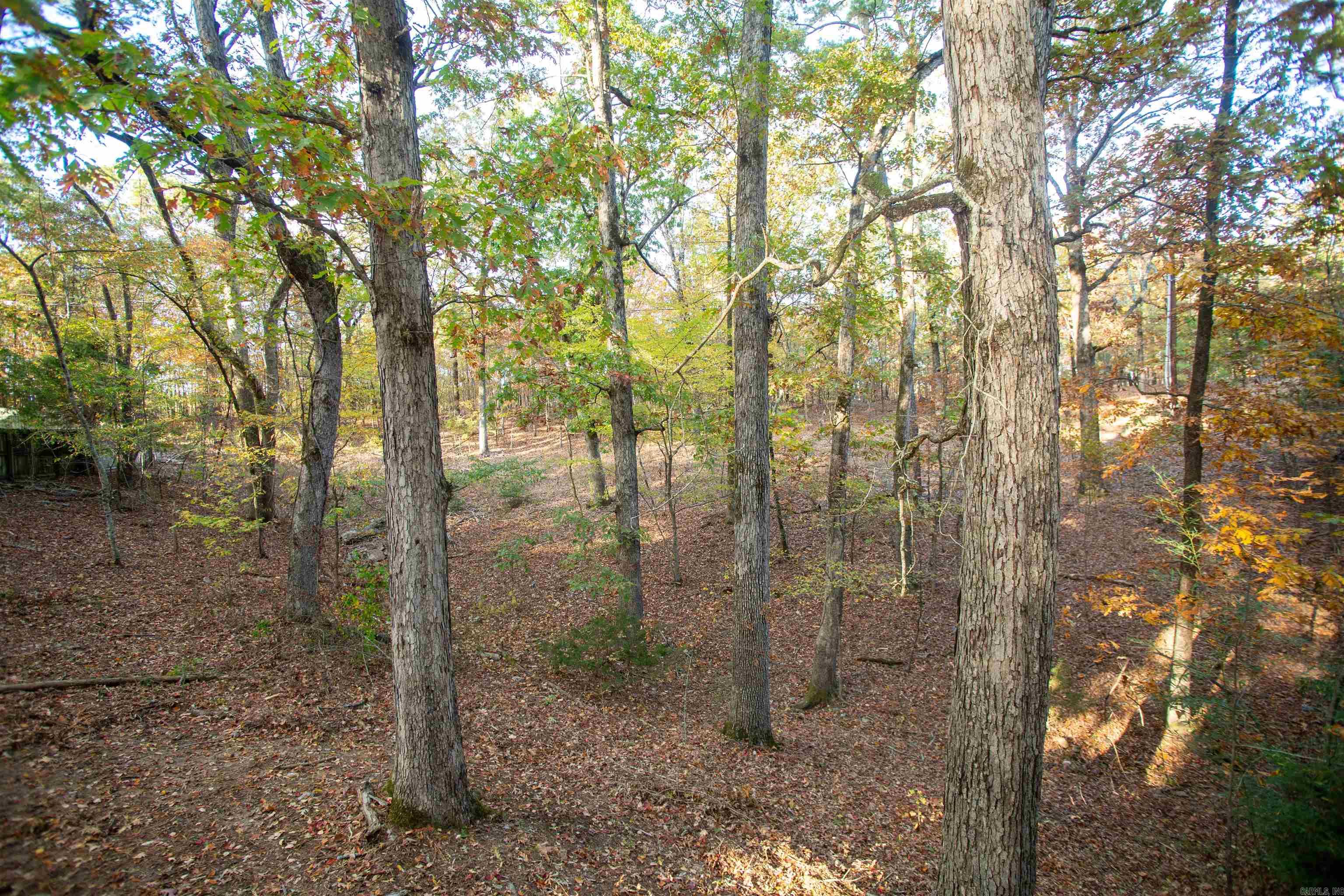 Spring Valley Manor - Residential Lease