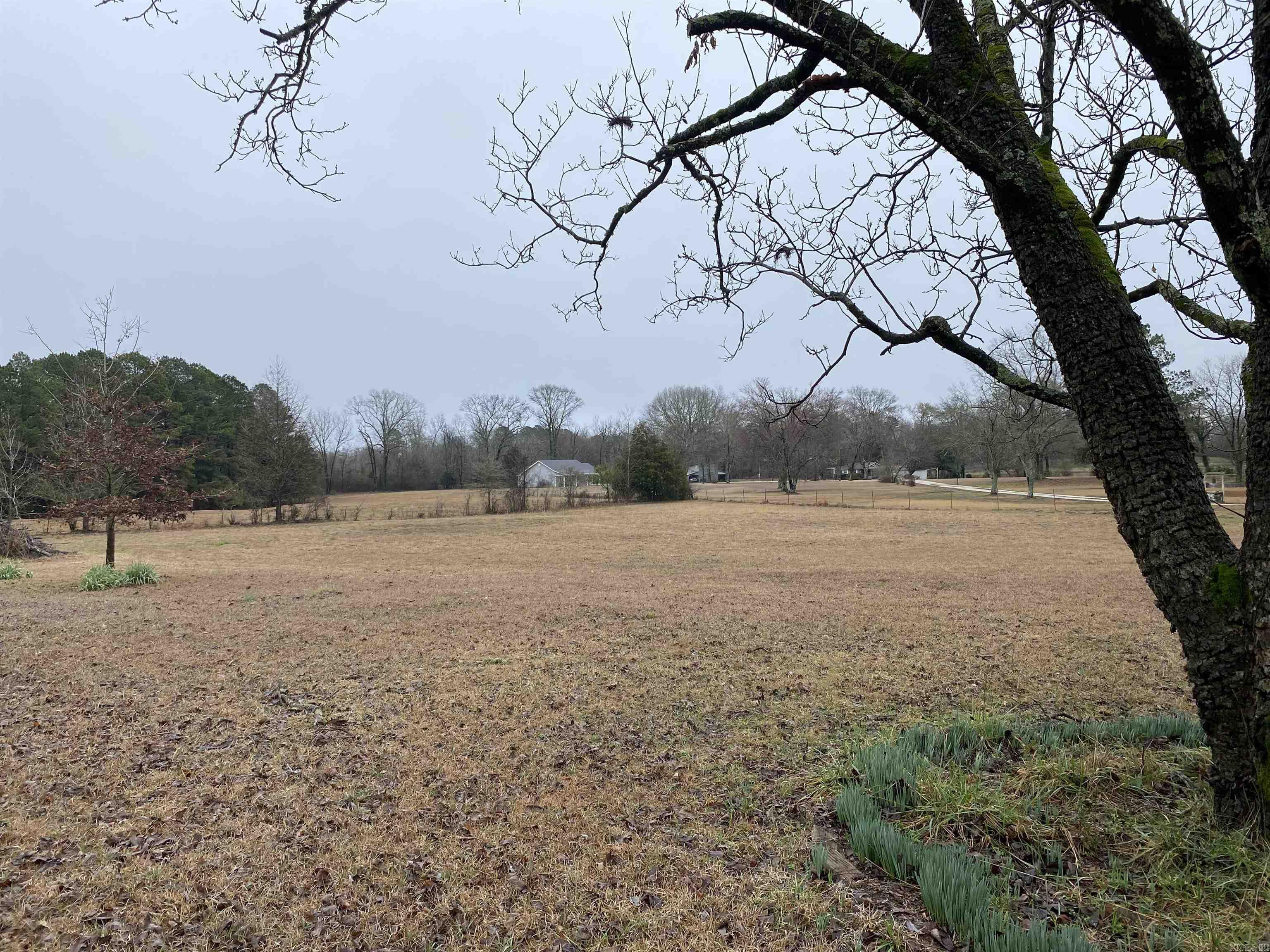 Friendship City - Residential