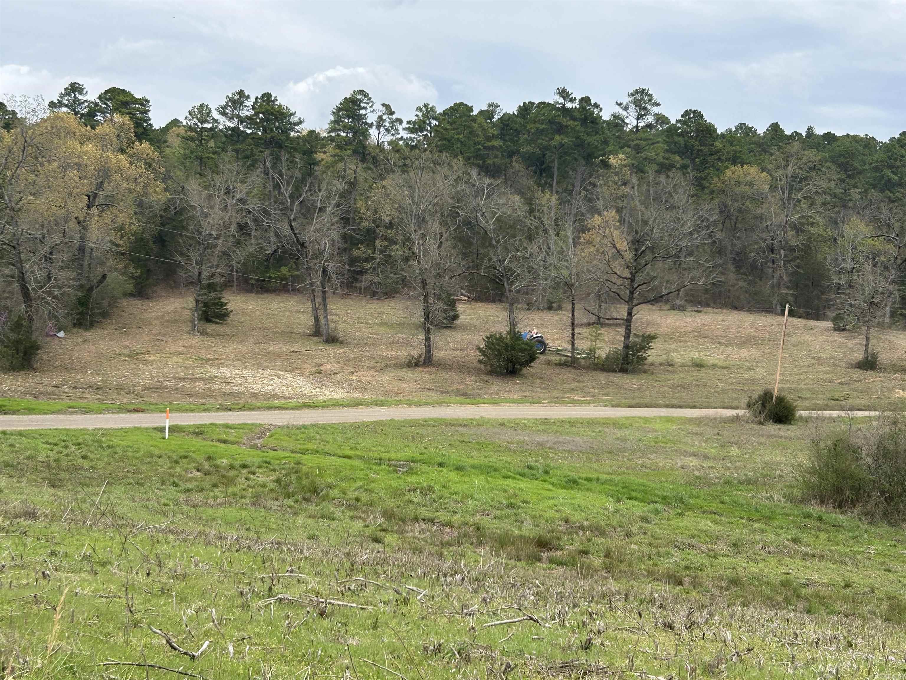 Beautiful pasture land that adjoins the national forrest. This property has trees, pasture, wet weather creek, city water and fire hydrant, a well and electricity. Well has supplied three homes and two chicken houses (no longer there), and never run dry. To be surveyed and property is priced at $4,500 an acre..