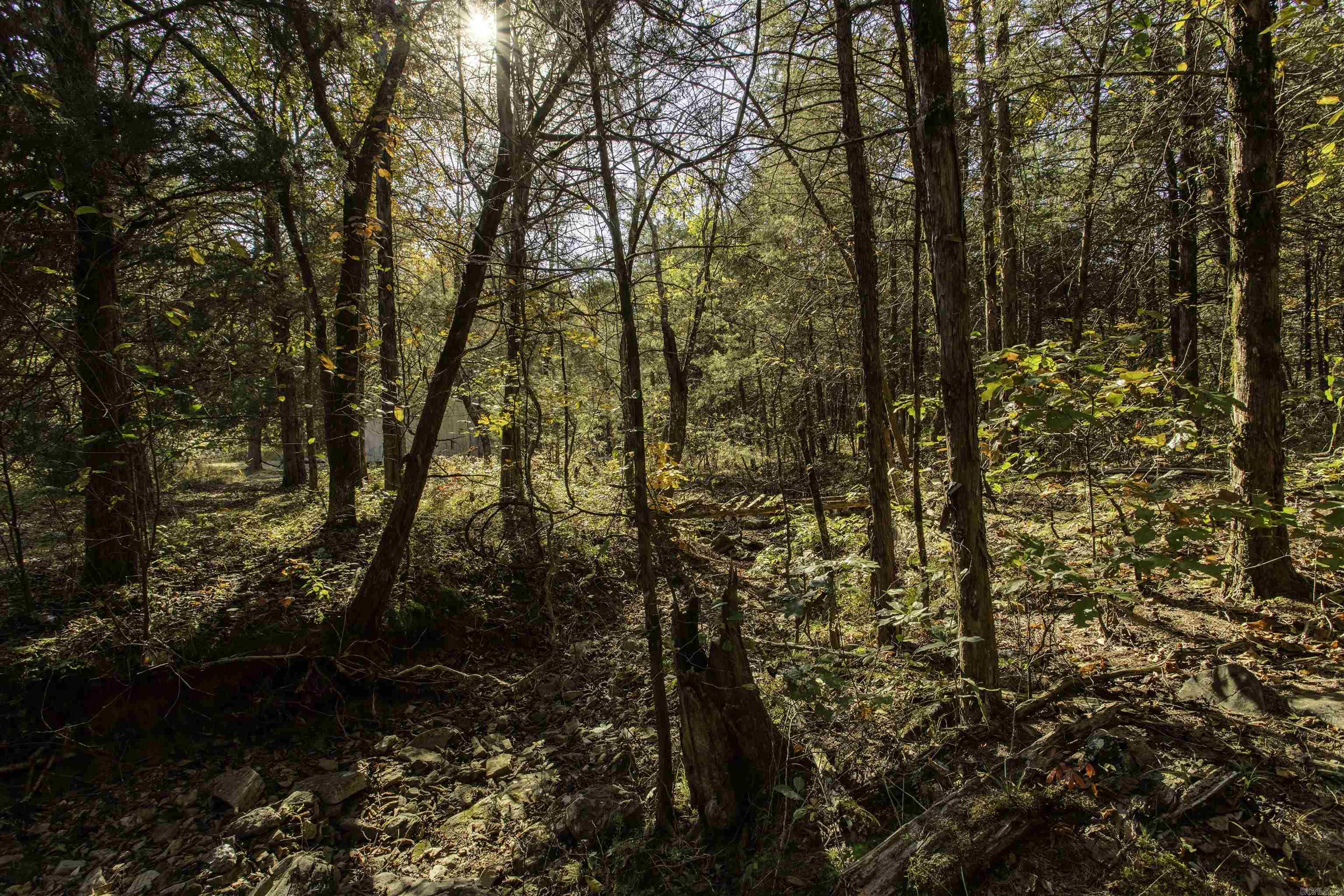 Not in Subdivision - Land