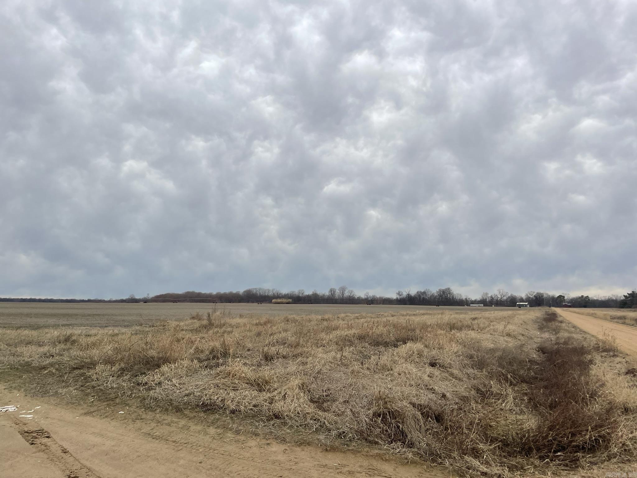 +/- 304 irrigated cropland acres, 69 of which are precision leveled with 16" well. Remaining acres irrigated with 7-tower center pivot. Rice, corn, soybean, and sorghum rotation. Soils are mostly Class II silt loam and sandy loam with a NCCPI rating of 73.2. 90 acres of CRP, 50 acres of hardwood timber. Adjacent to Black River. Great river bottomland farm or income producing hunting and recreational tract. Tract 3 of 5 for sale.