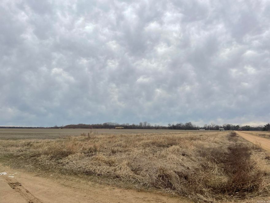 +/- 304 irrigated cropland acres, 69 of which are precision leveled with 16" well.  Remaining acres irrigated with 7-tower center pivot. Rice, corn, soybean, and sorghum rotation. Soils are mostly Class II silt loam and sandy loam with a NCCPI rating of 73.2. 90 acres of CRP, 50 acres of hardwood timber. Adjacent to Black River. Great river bottomland farm or income producing hunting and recreational tract.  Tract 3 of 5 for sale.