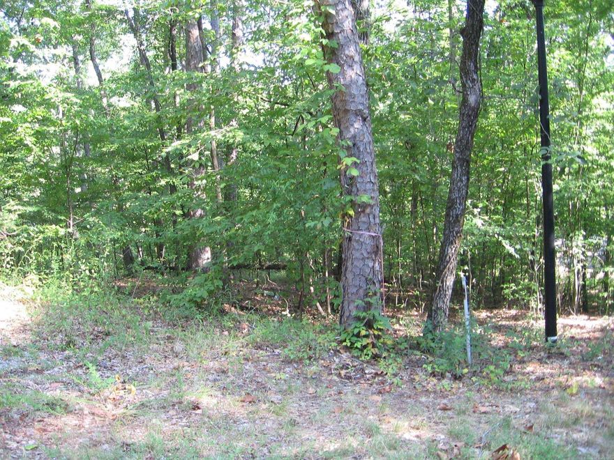 LOTS OF PRIVACY NEAR END OF CUL DE SAC. INCLUDES 2 LOTS WITH FEW HOMES CLOSE. FOR THAT SOMEONE WHO WANTS THEIR SPACE AND HAS A WONDERFUL MOUNTAIN VIEW WHEN DRIVING HOME THIS IS YOUR SPOT. COME CHECK IT OT.