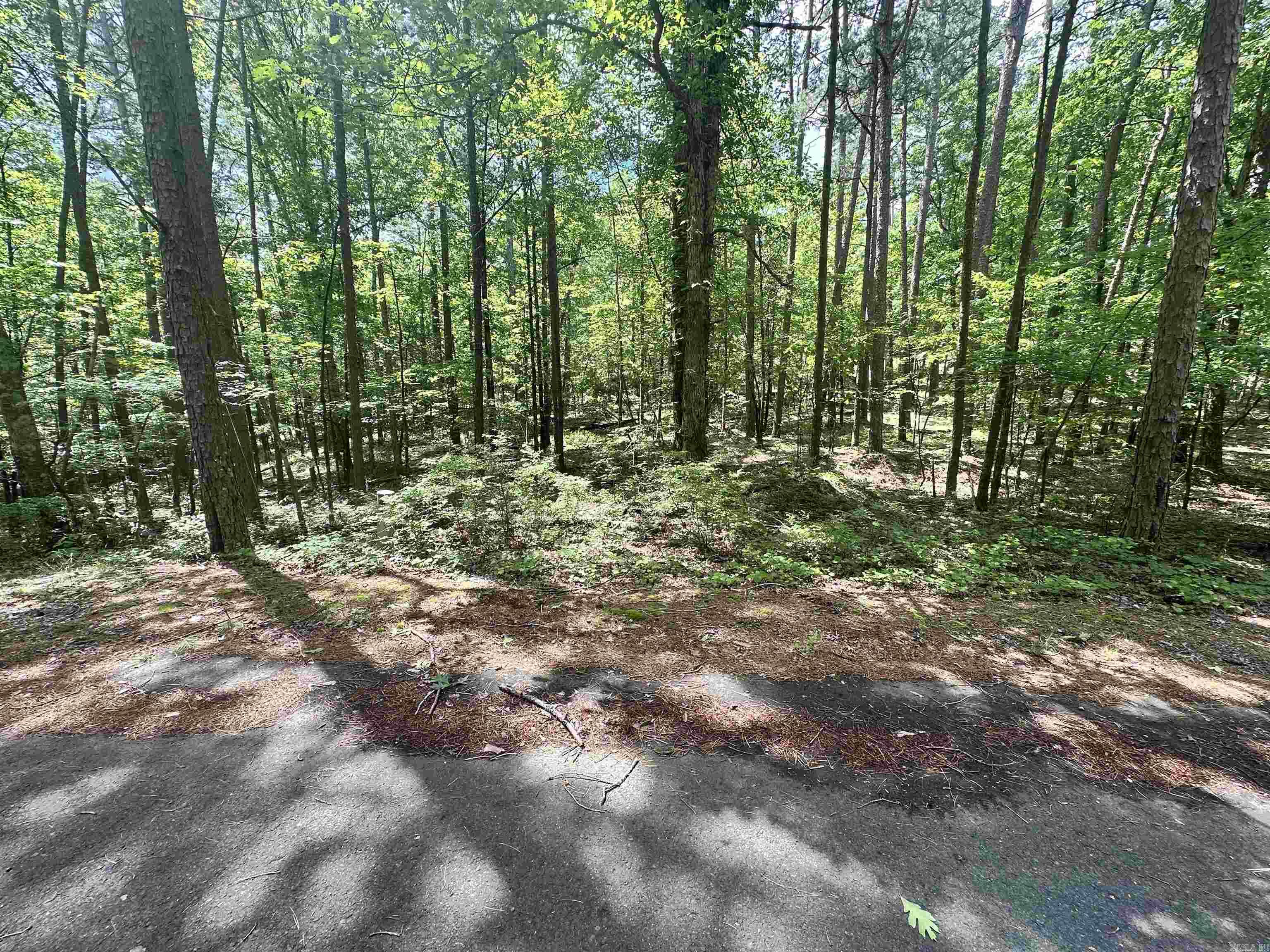 Beautiful and buildable lot in an ideal location. Priced to sell! Come take a look!